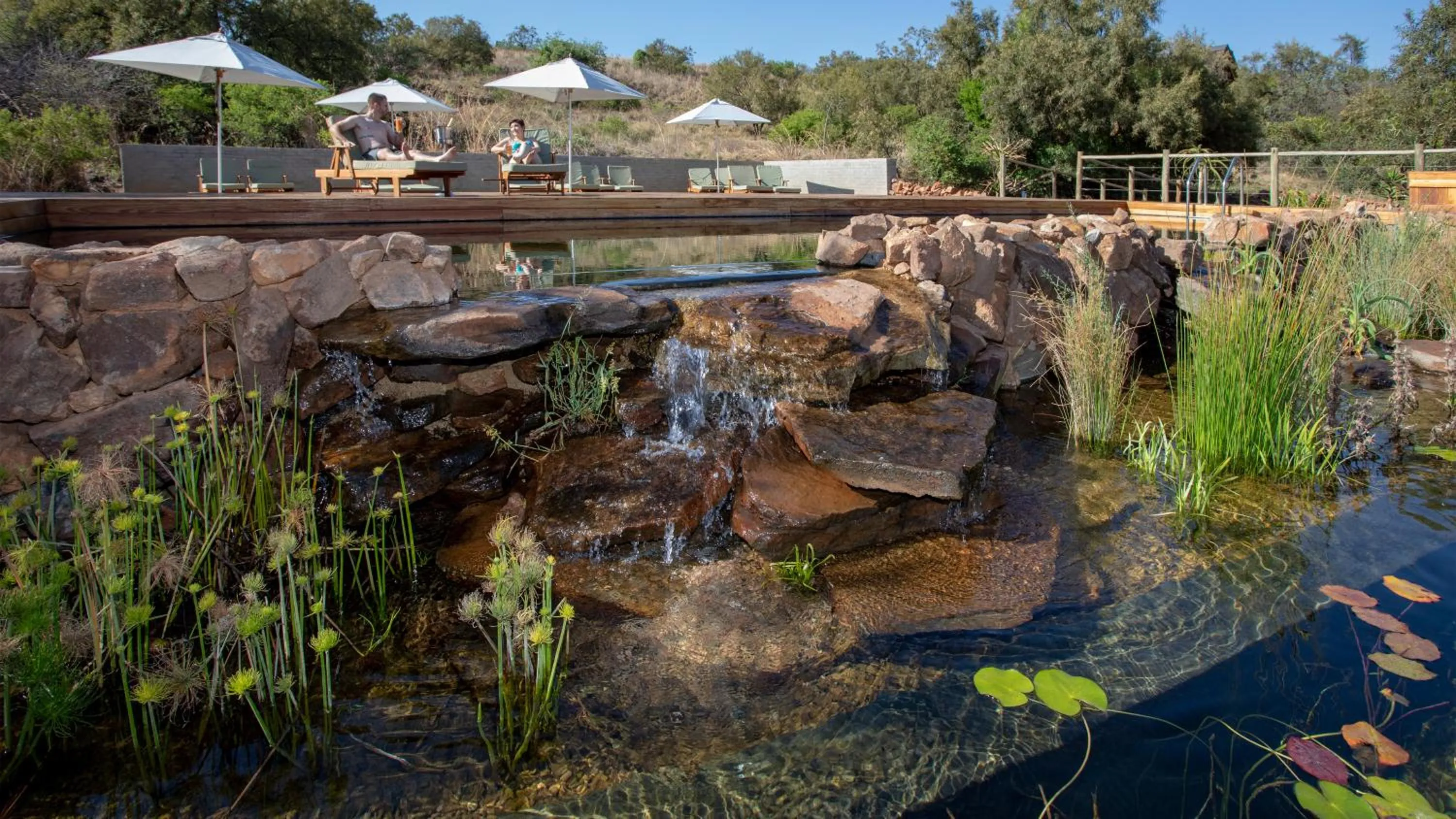 Swimming pool in Cradle Boutique Hotel