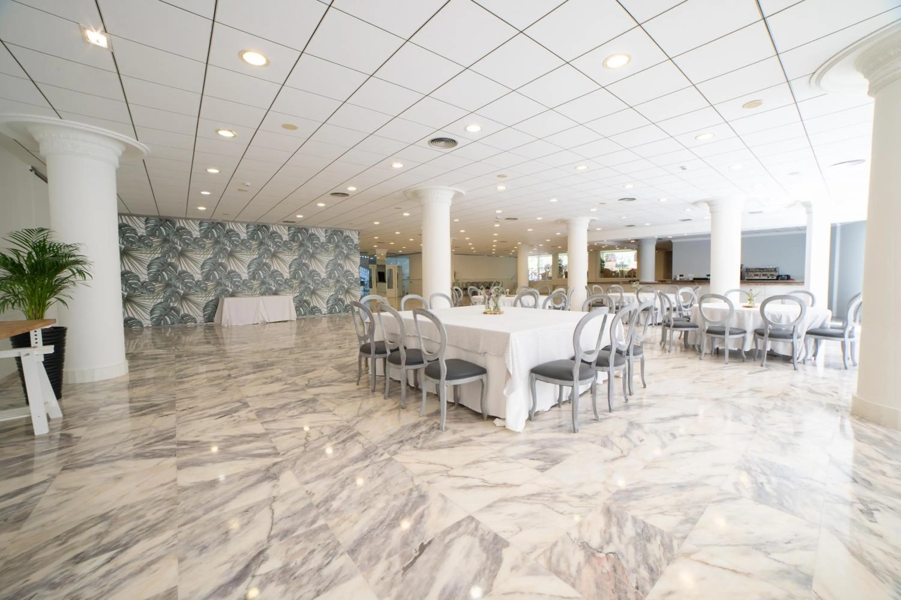 Business facilities in Palas Pineda