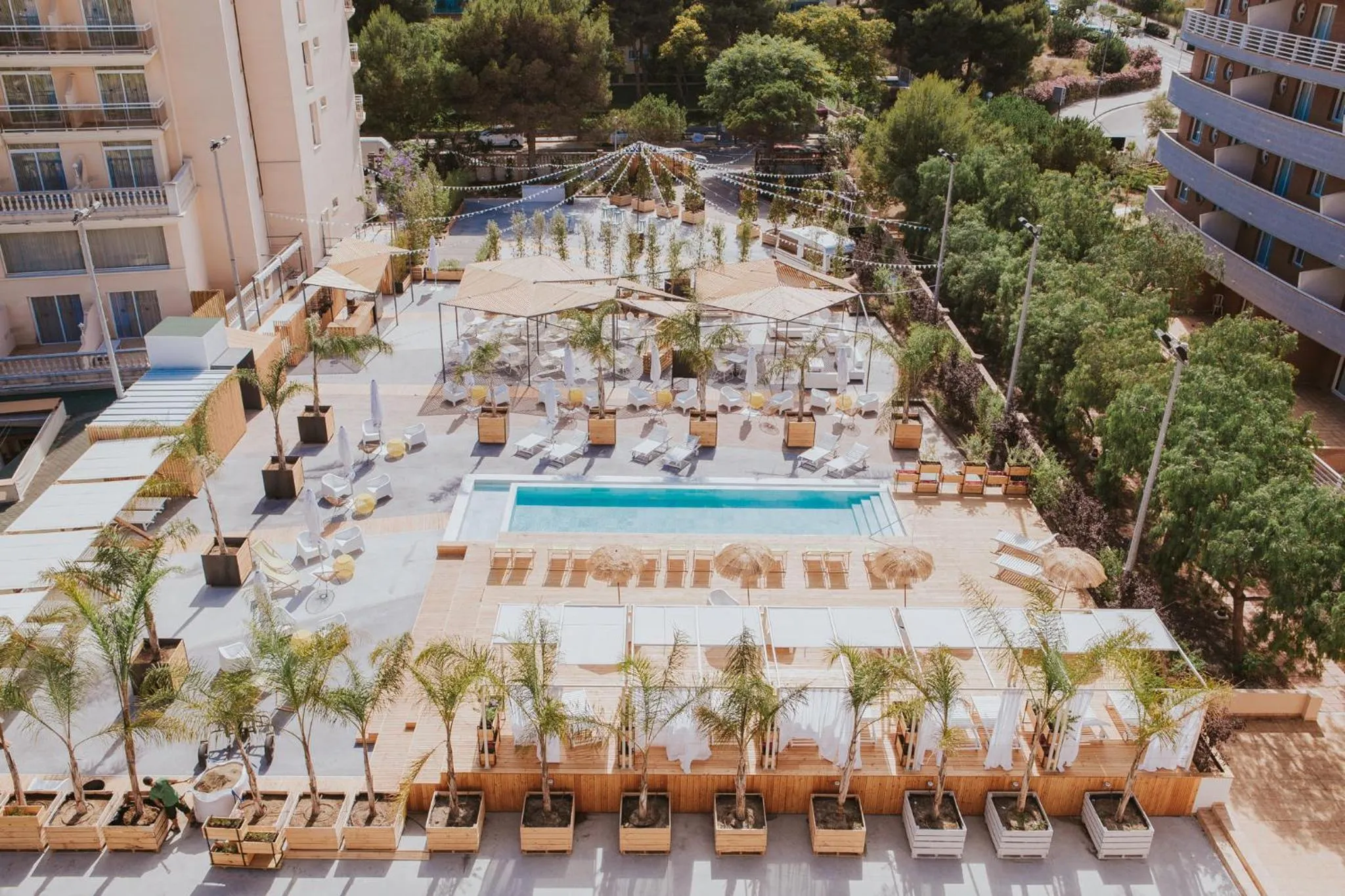 Bird's eye view in Palas Pineda