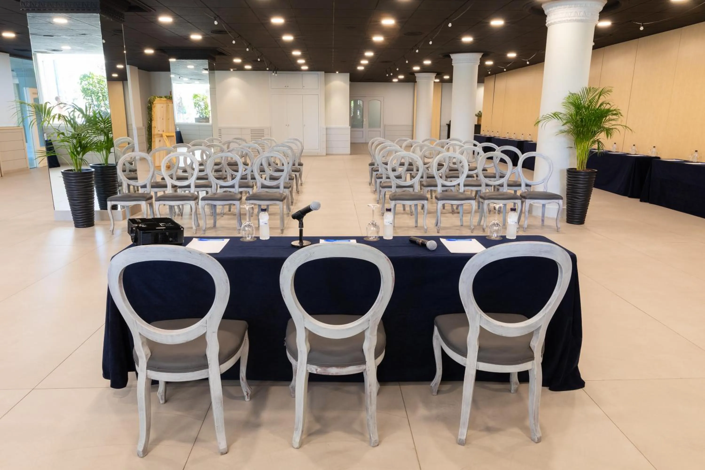 Business facilities in Palas Pineda