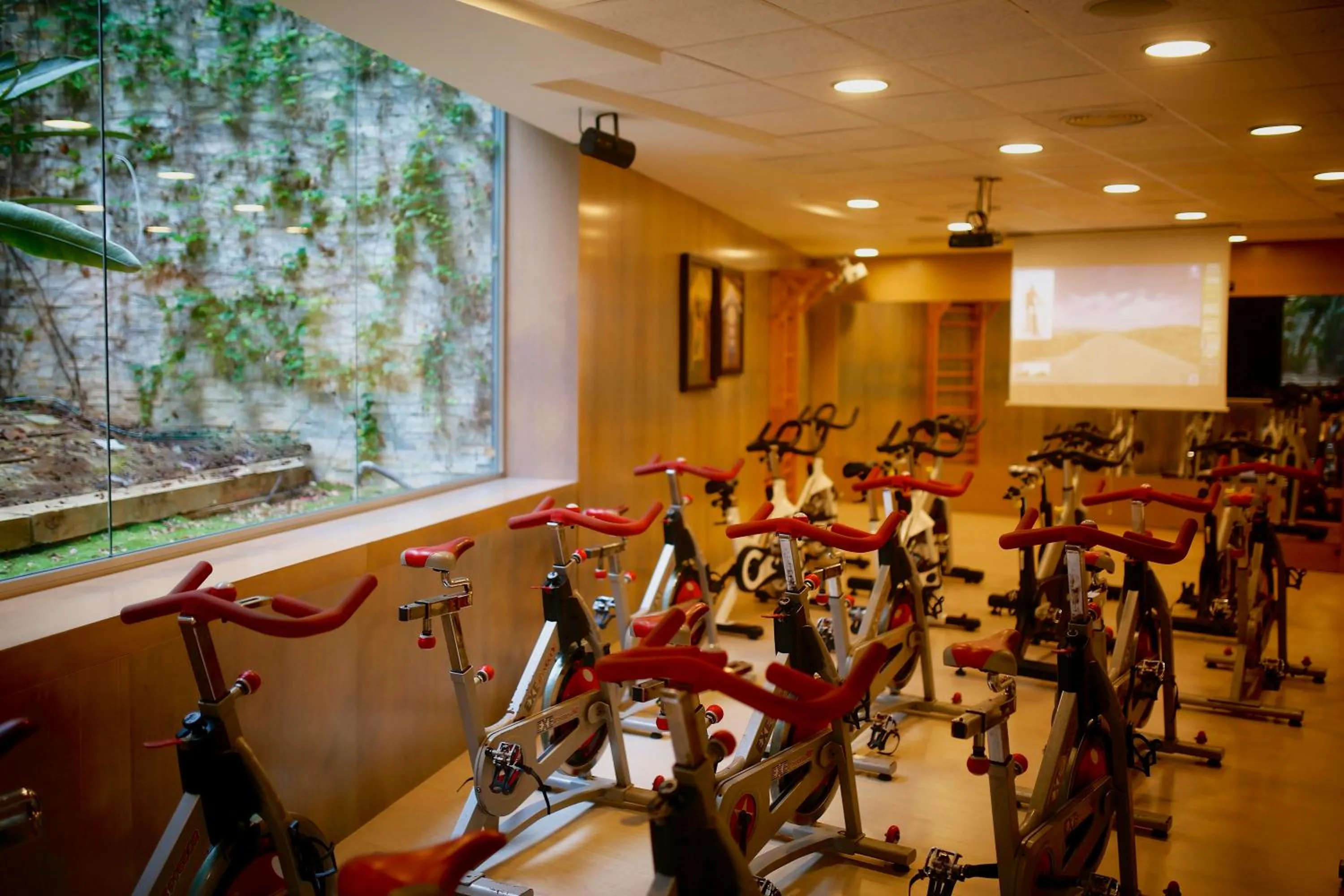 Fitness centre/facilities in Gran Palas Hotel - Spa incluido