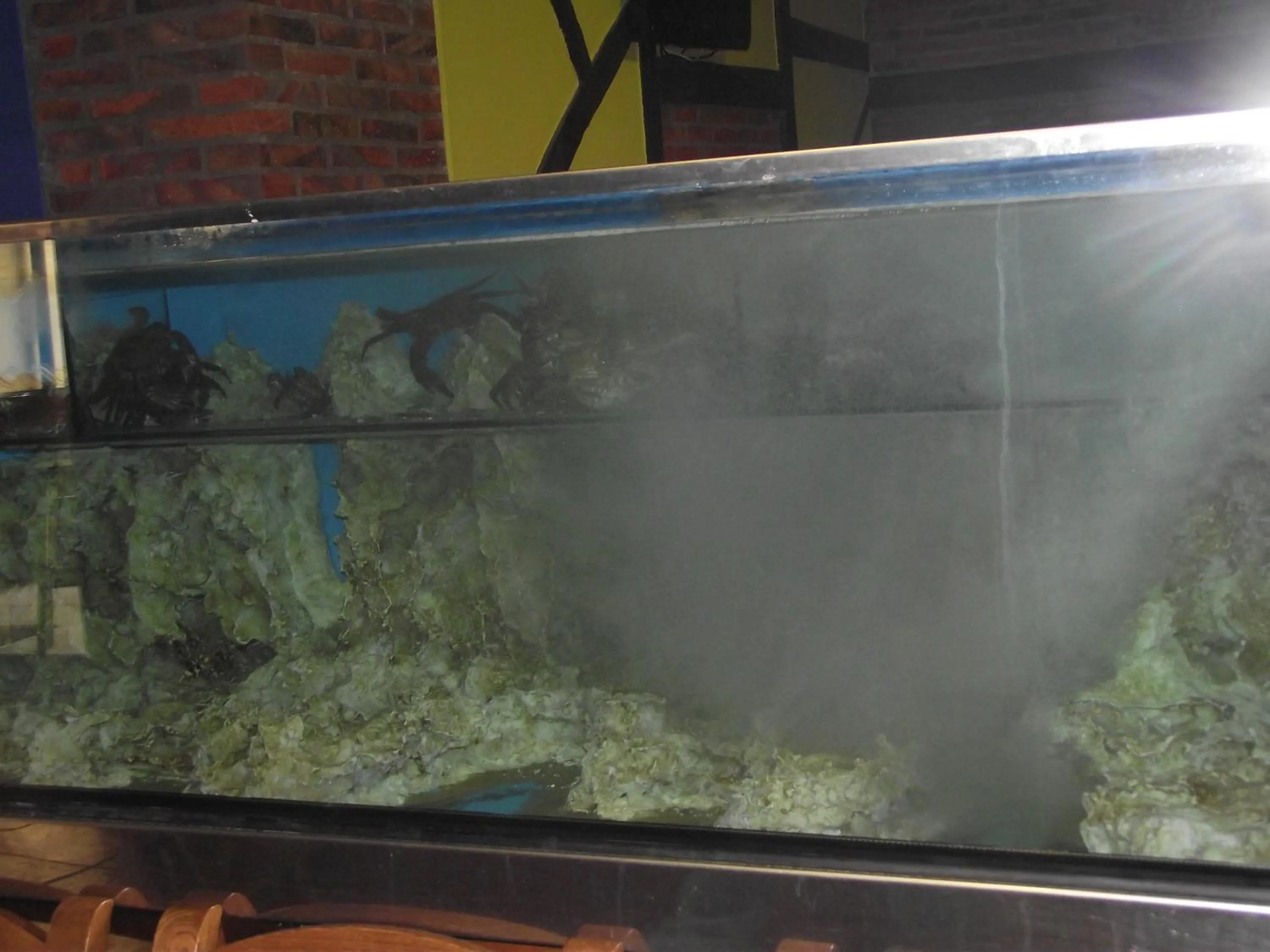 Decorative detail in Hotel Marfrei