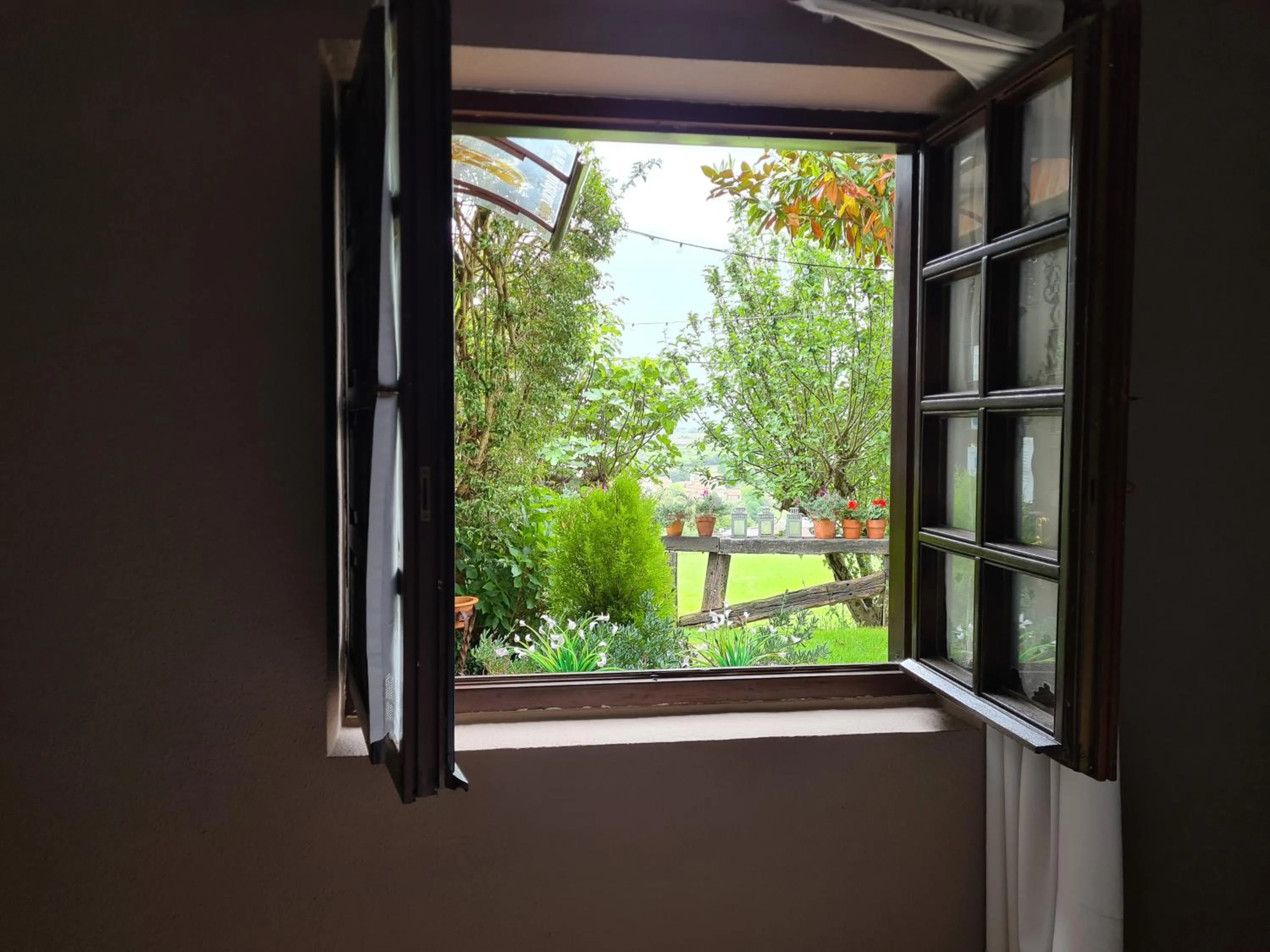 Garden view in Hotel Colegiata