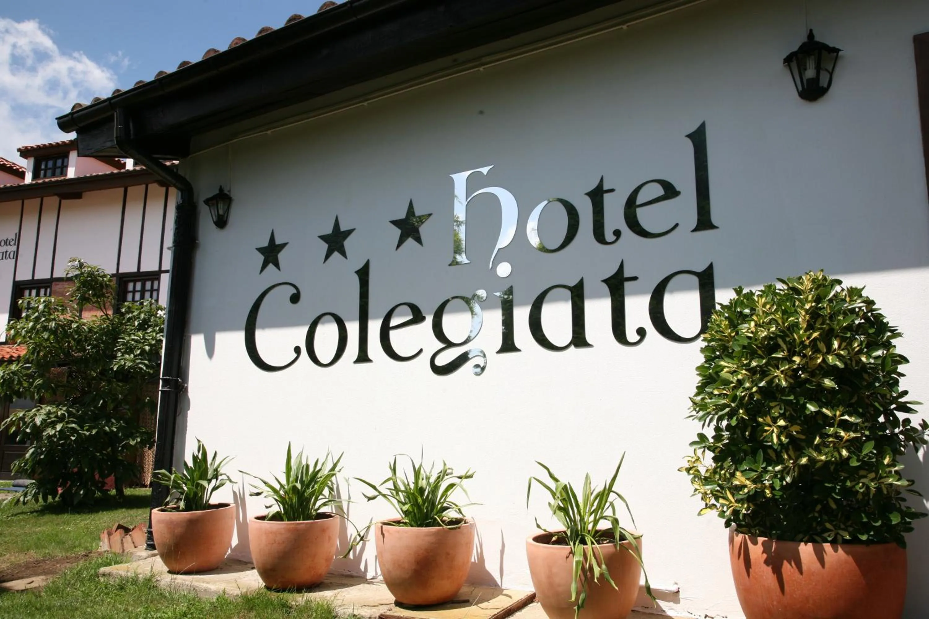 Decorative detail in Hotel Colegiata