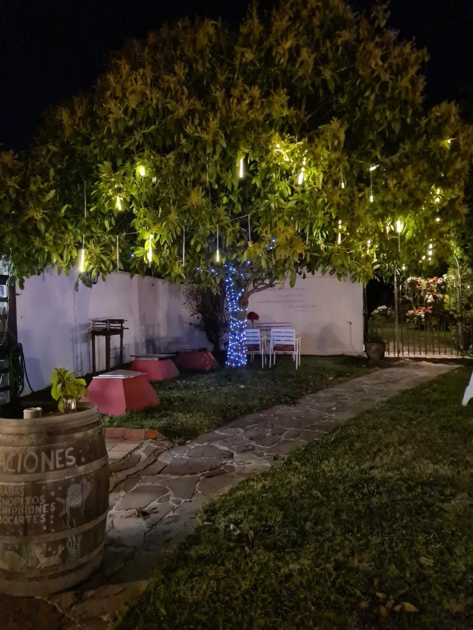 Garden in Hotel Colegiata