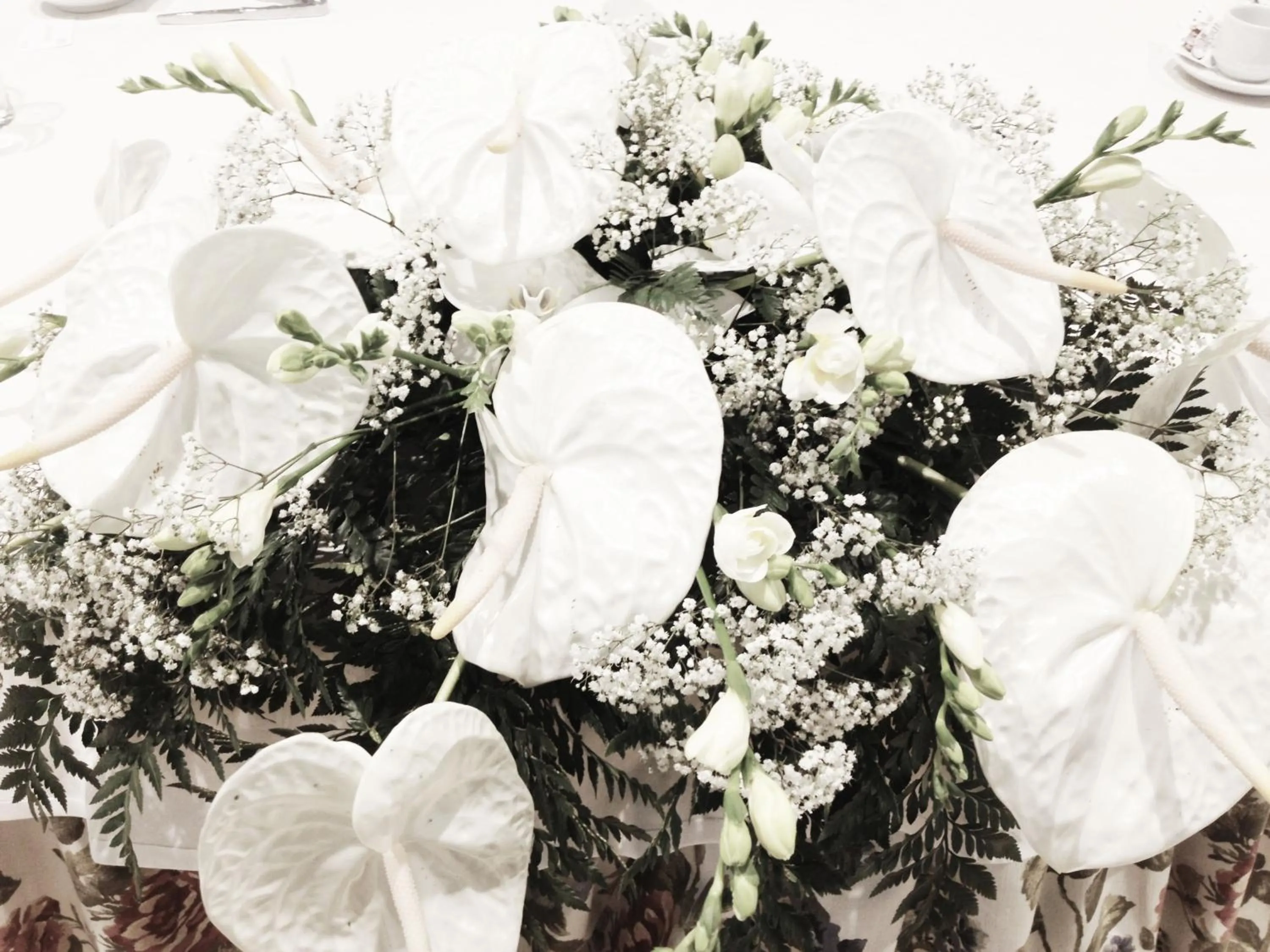 Other in Hotel Colegiata