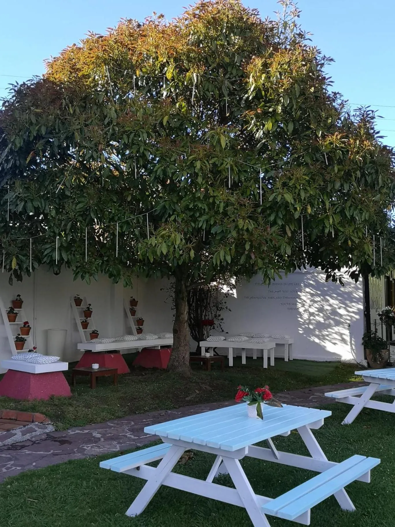 Property building in Hotel Colegiata