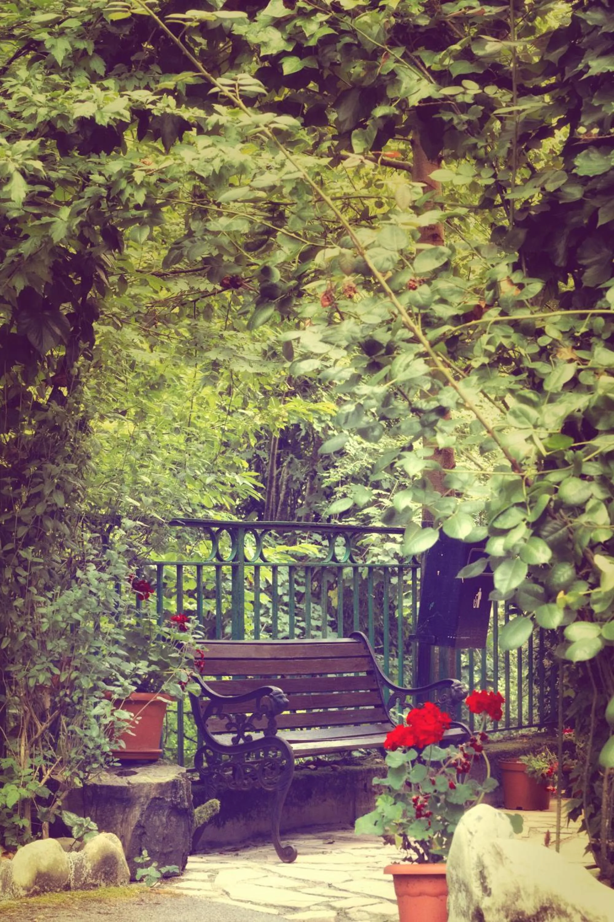 Area and facilities in Hotel Rural El Molino