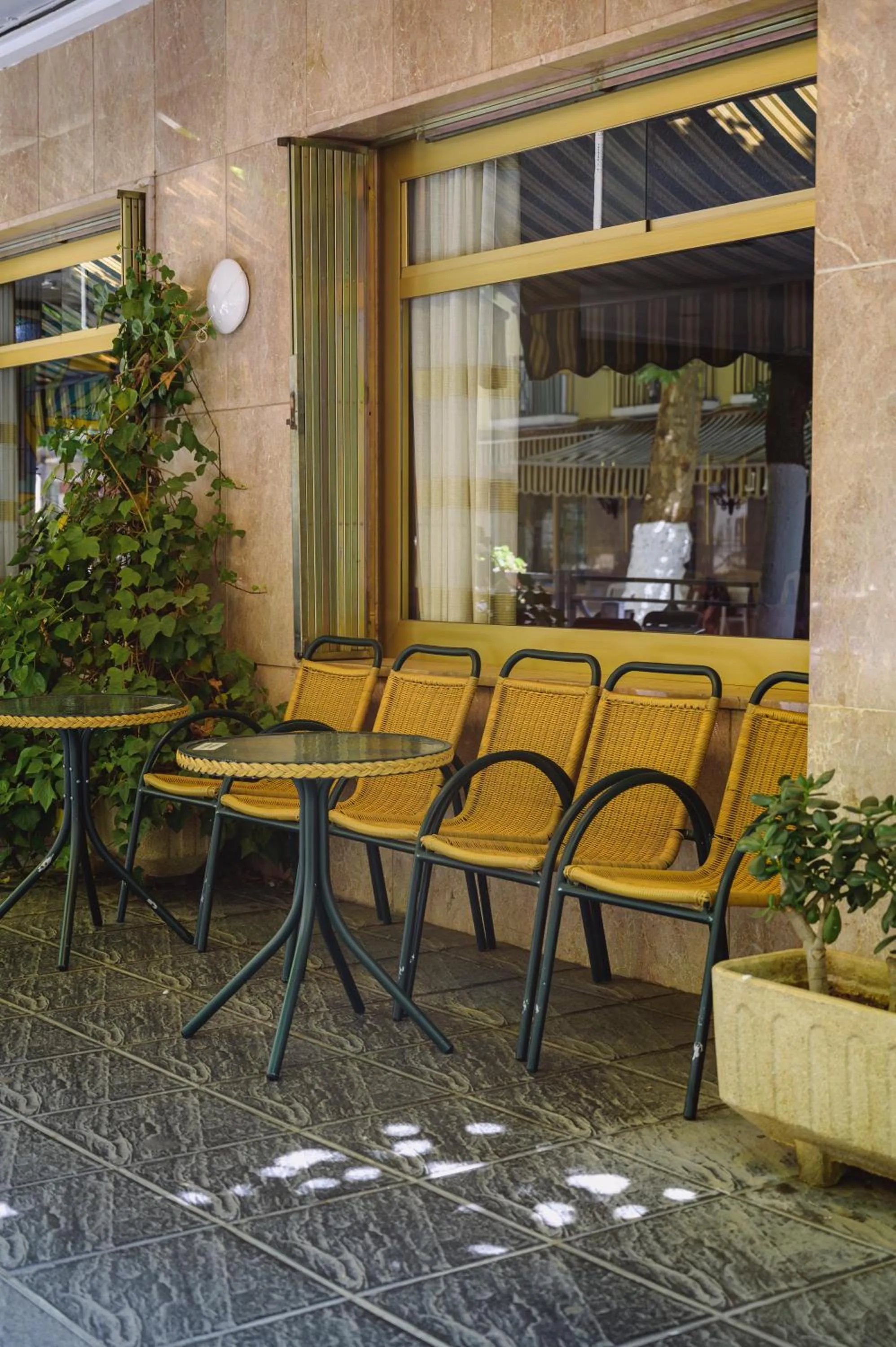 Restaurant/places to eat in Hotel Paraíso