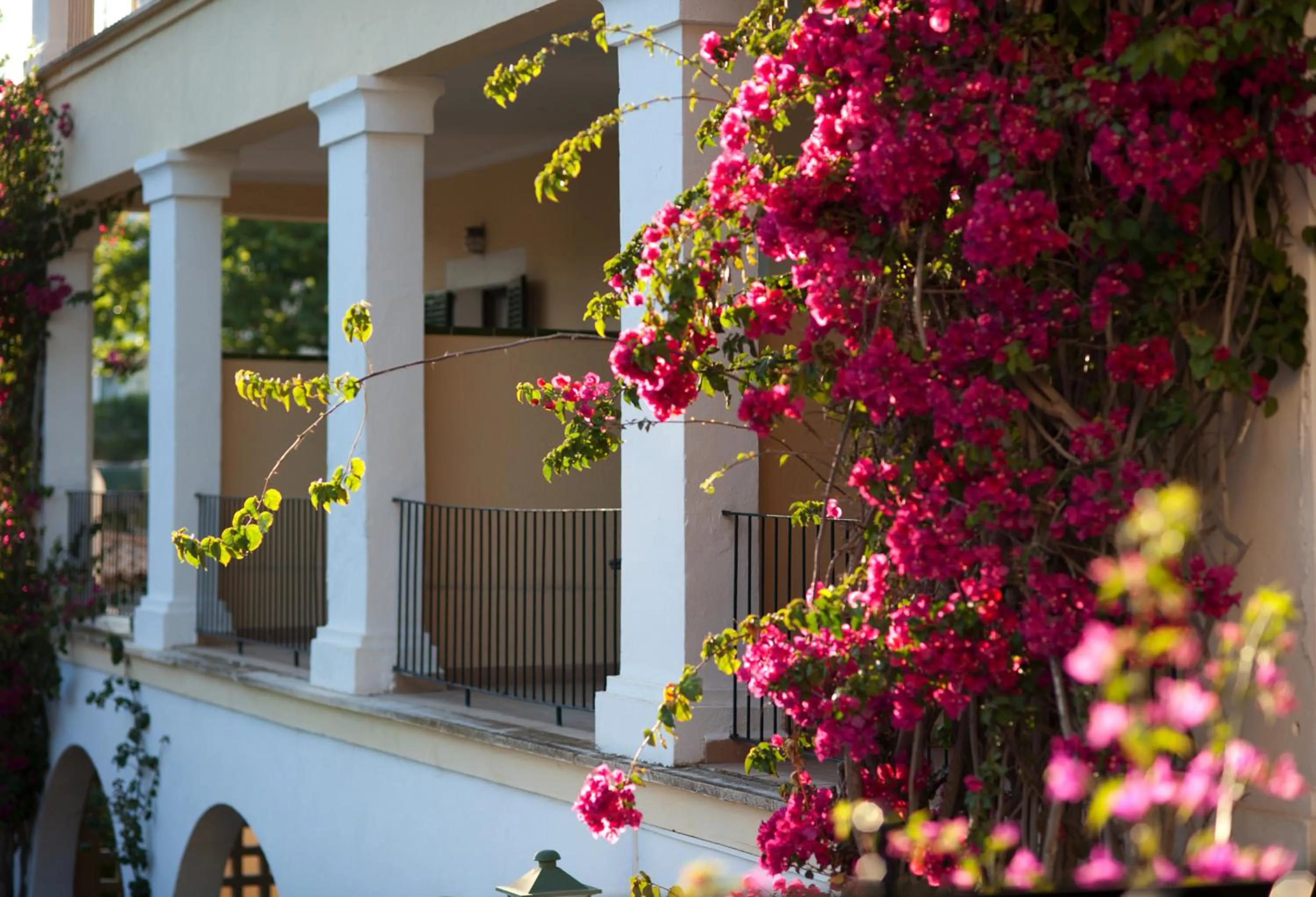 Other in Hotel Bahia