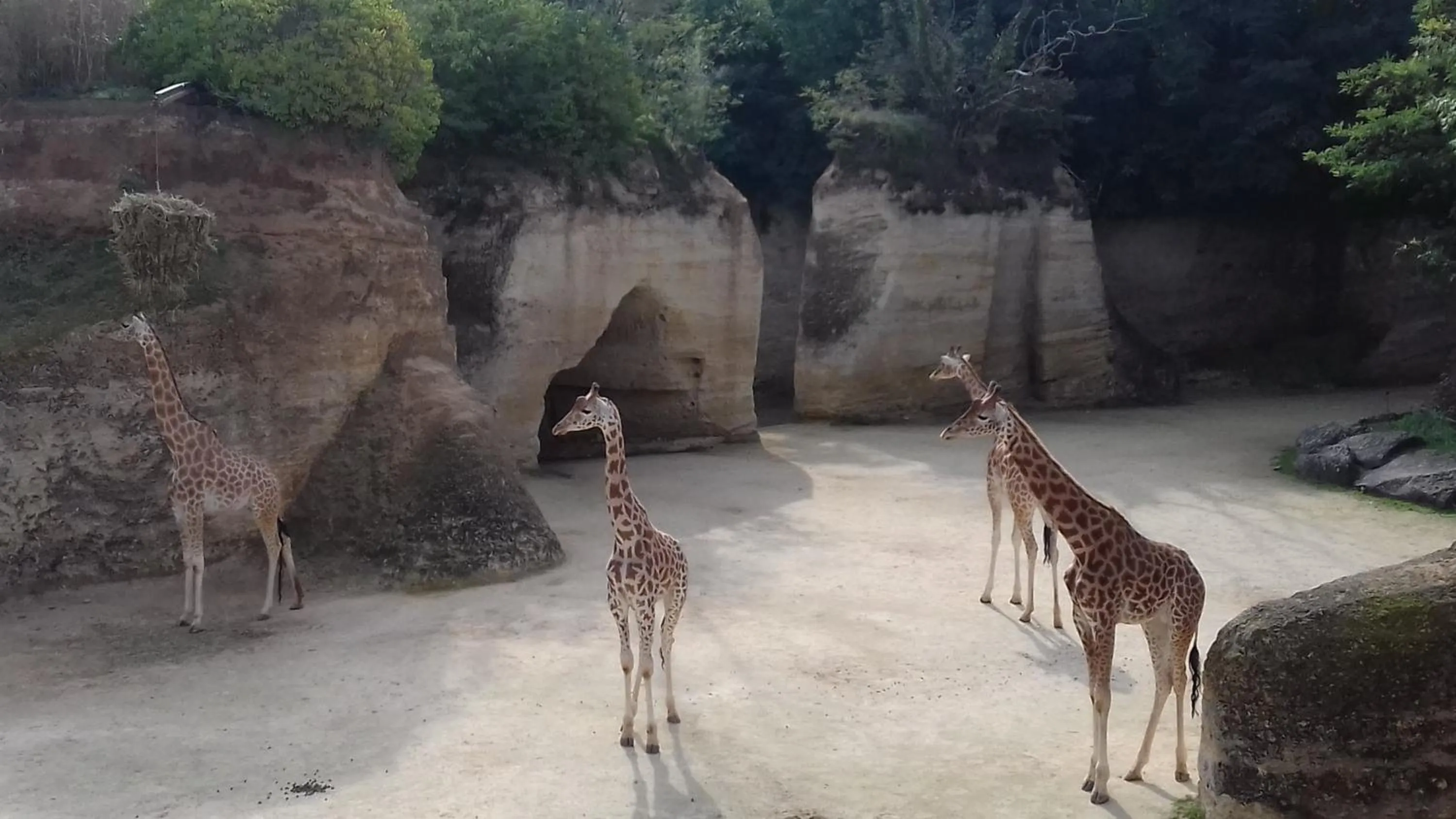 Activities in Saumur Loire Chambres et Gîte