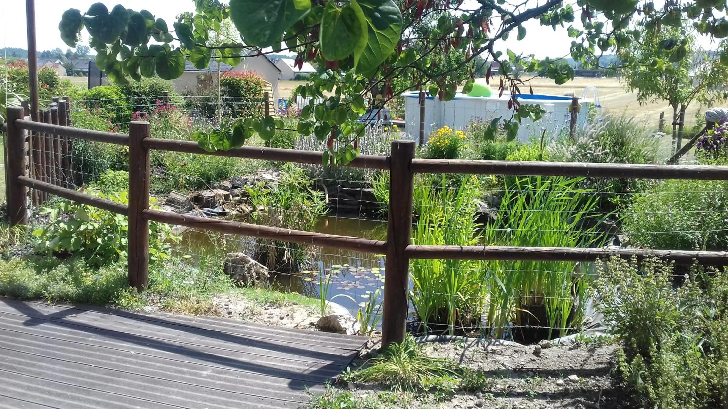 Garden view in Saumur Loire Chambres et Gîte