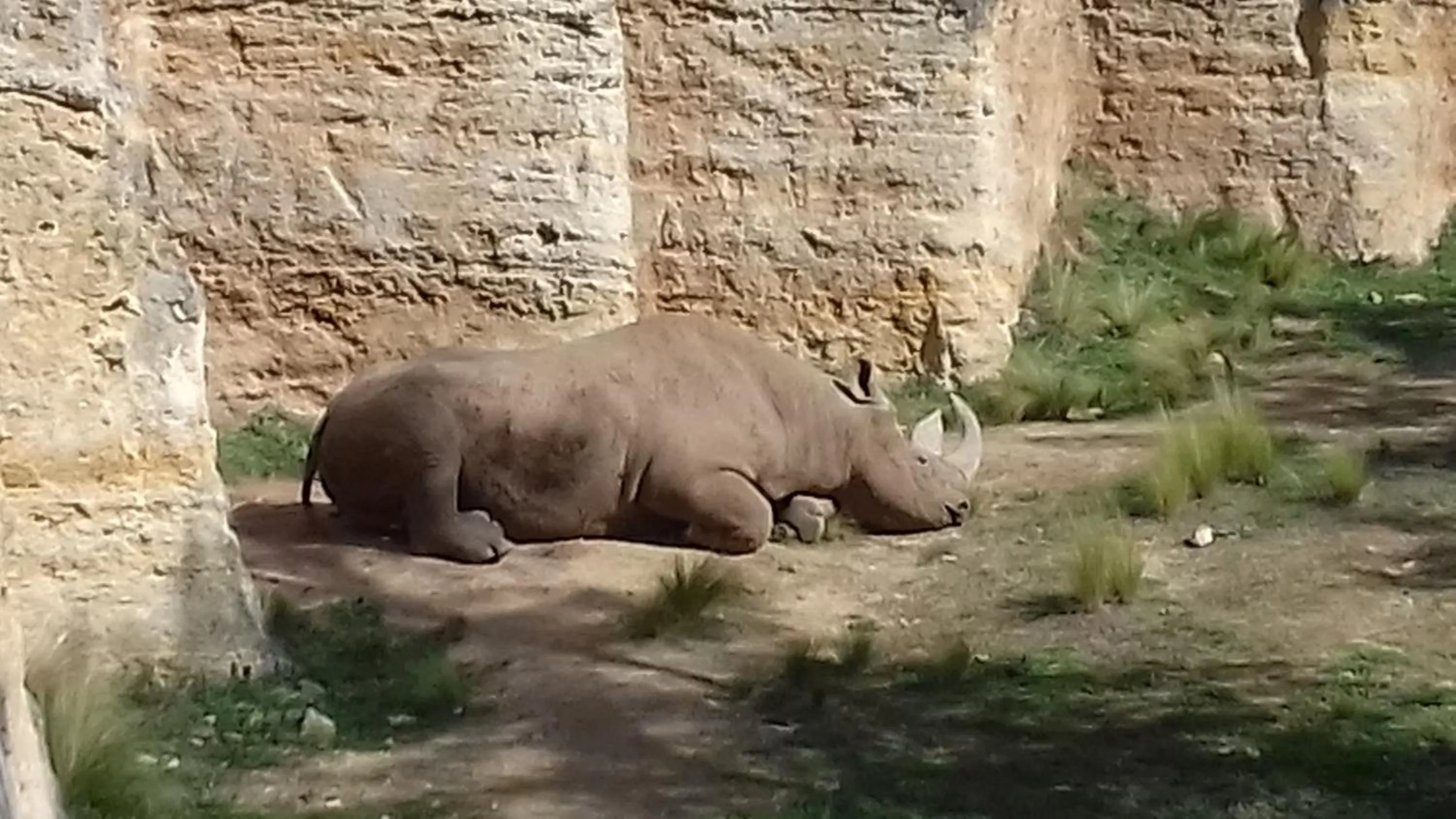 Activities in Saumur Loire Chambres et Gîte