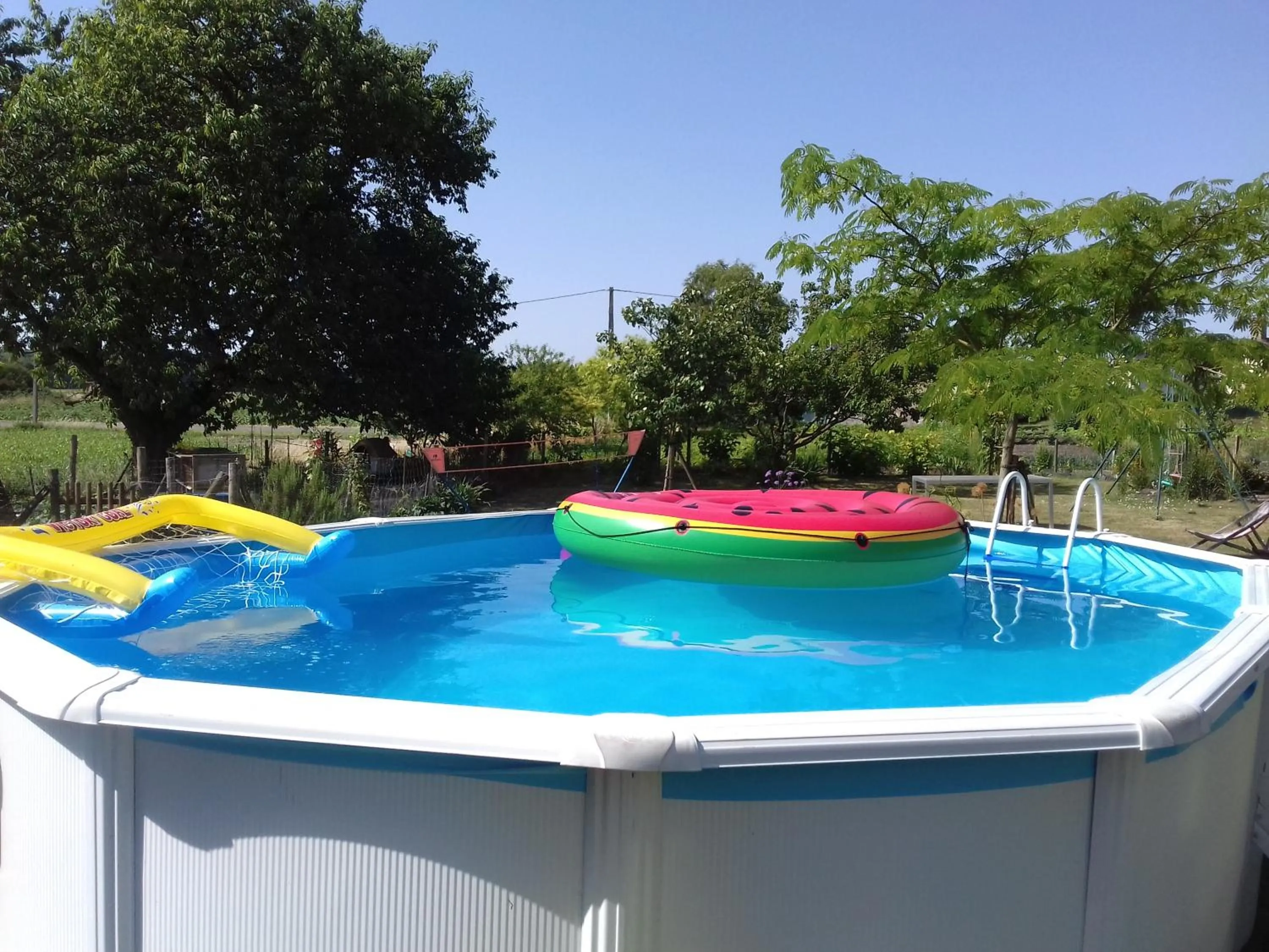 Swimming pool in Saumur Loire Chambres et Gîte