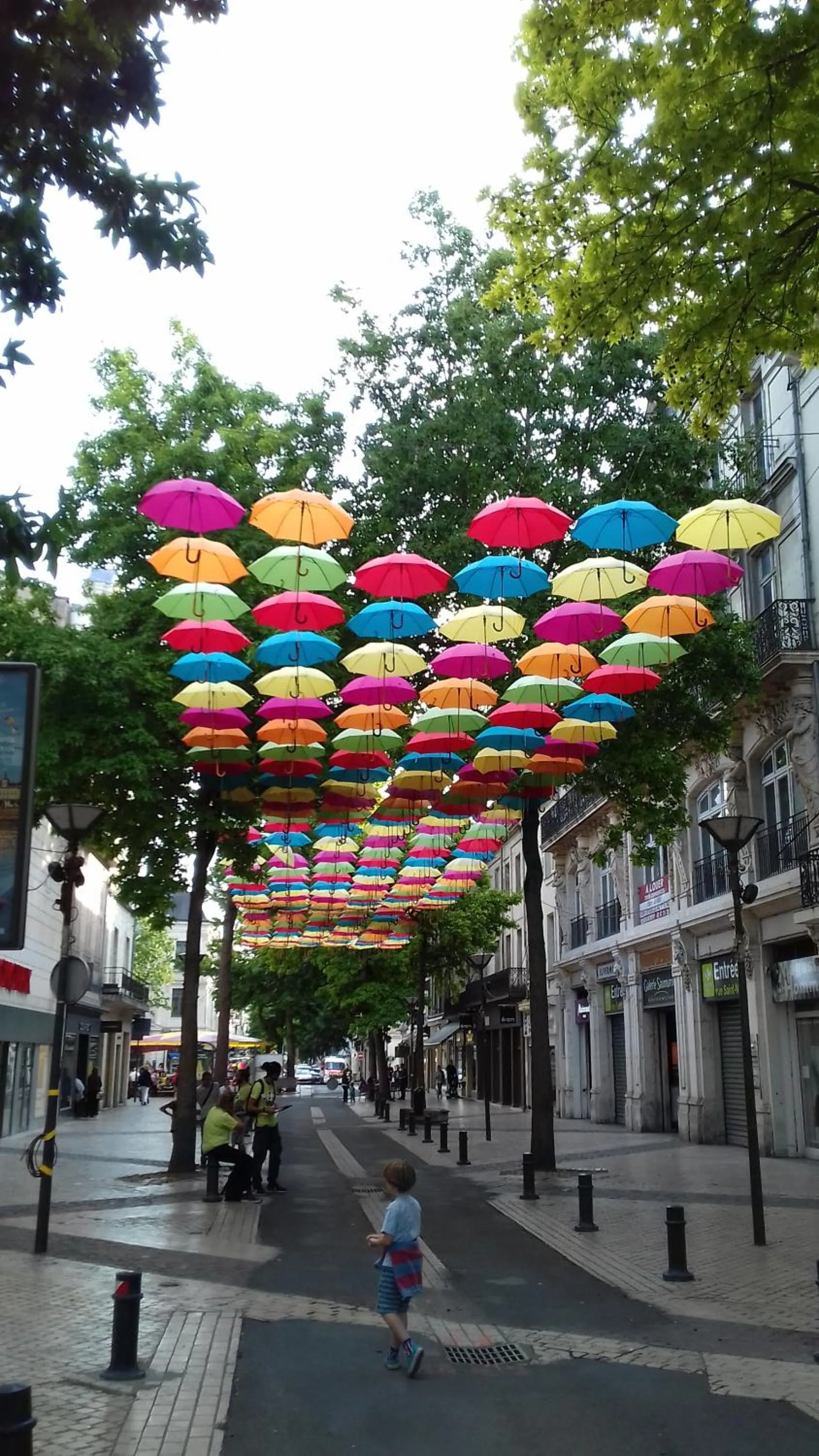 Off site in Saumur Loire Chambres et Gîte