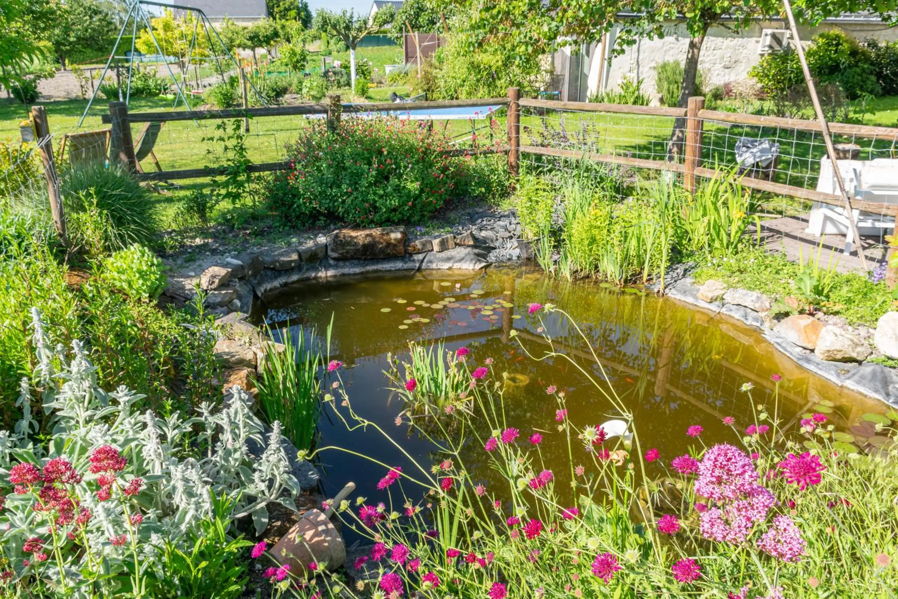 Natural landscape in Saumur Loire Chambres et Gîte