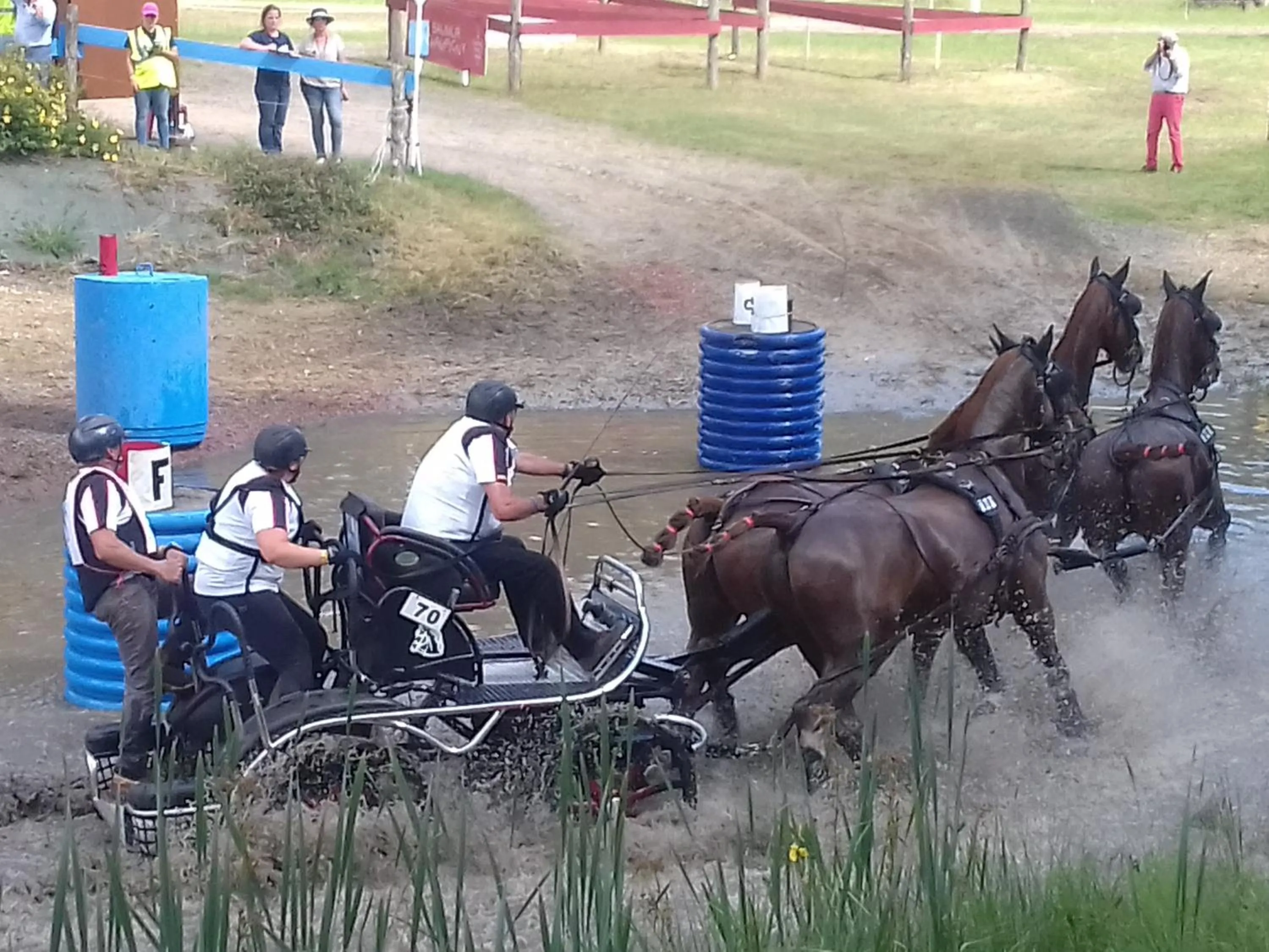 Entertainment in Saumur Loire Chambres et Gîte