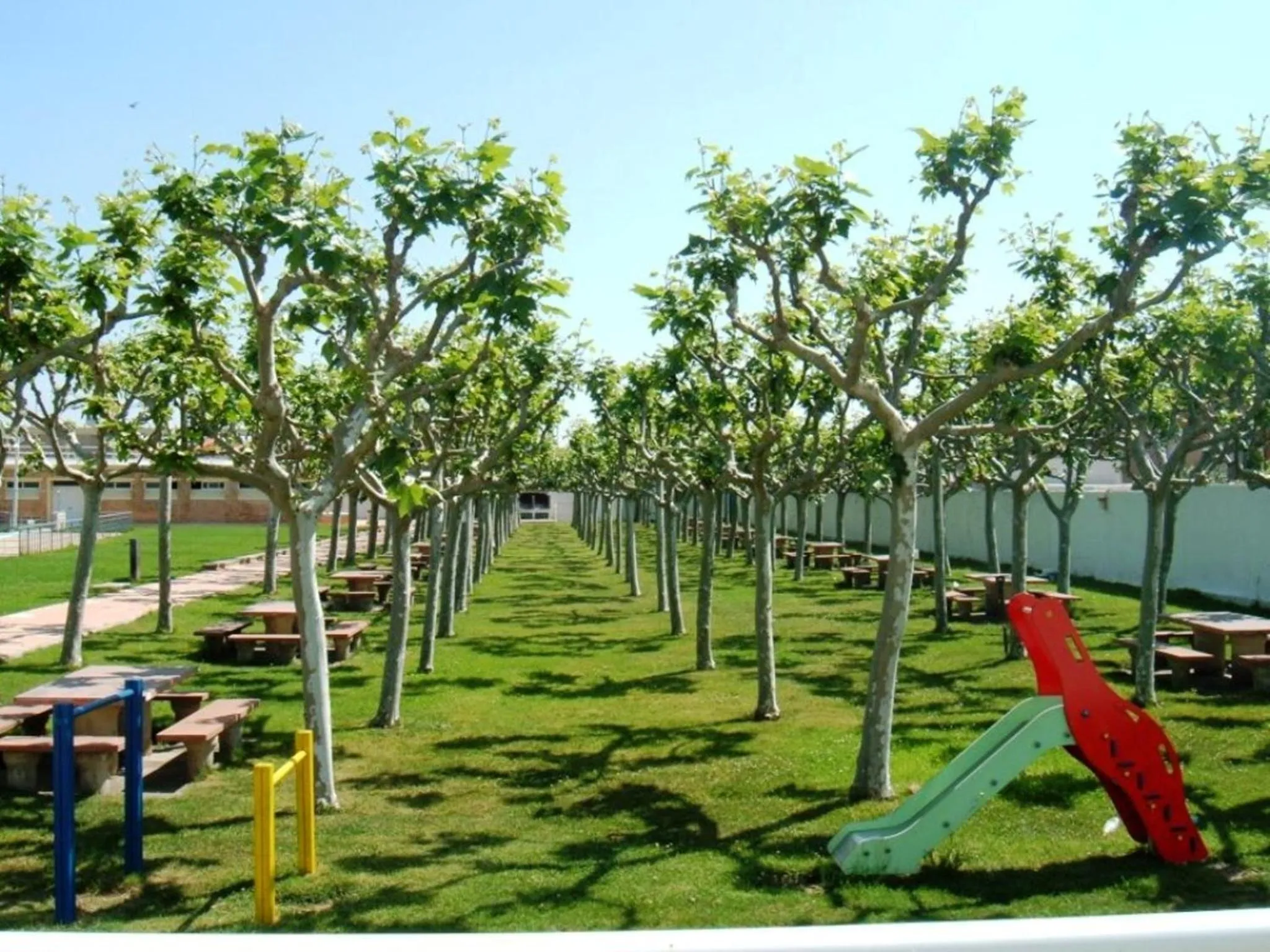 Swimming pool in Hotel Alhama