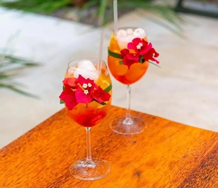 Day in Pousada Aldeia Beijupirá