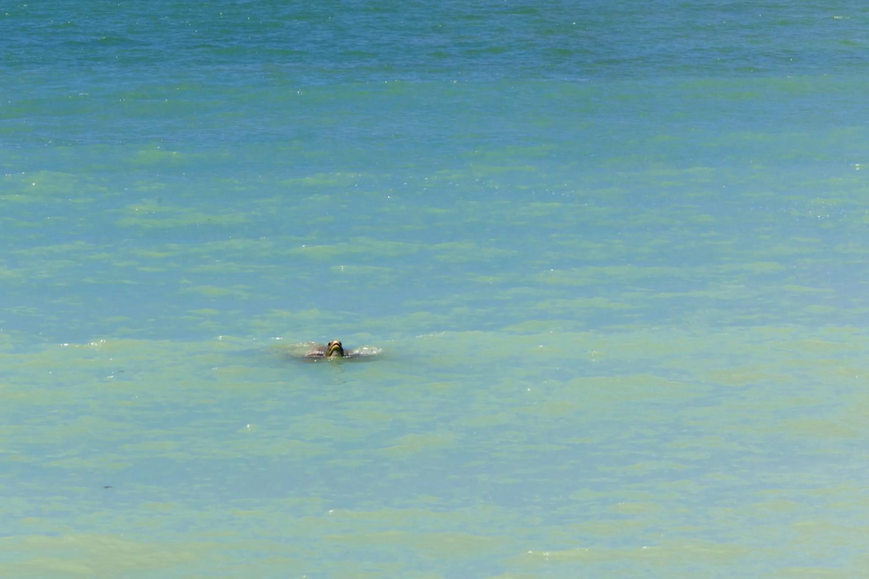 Beach in Pousada Aldeia Beijupirá