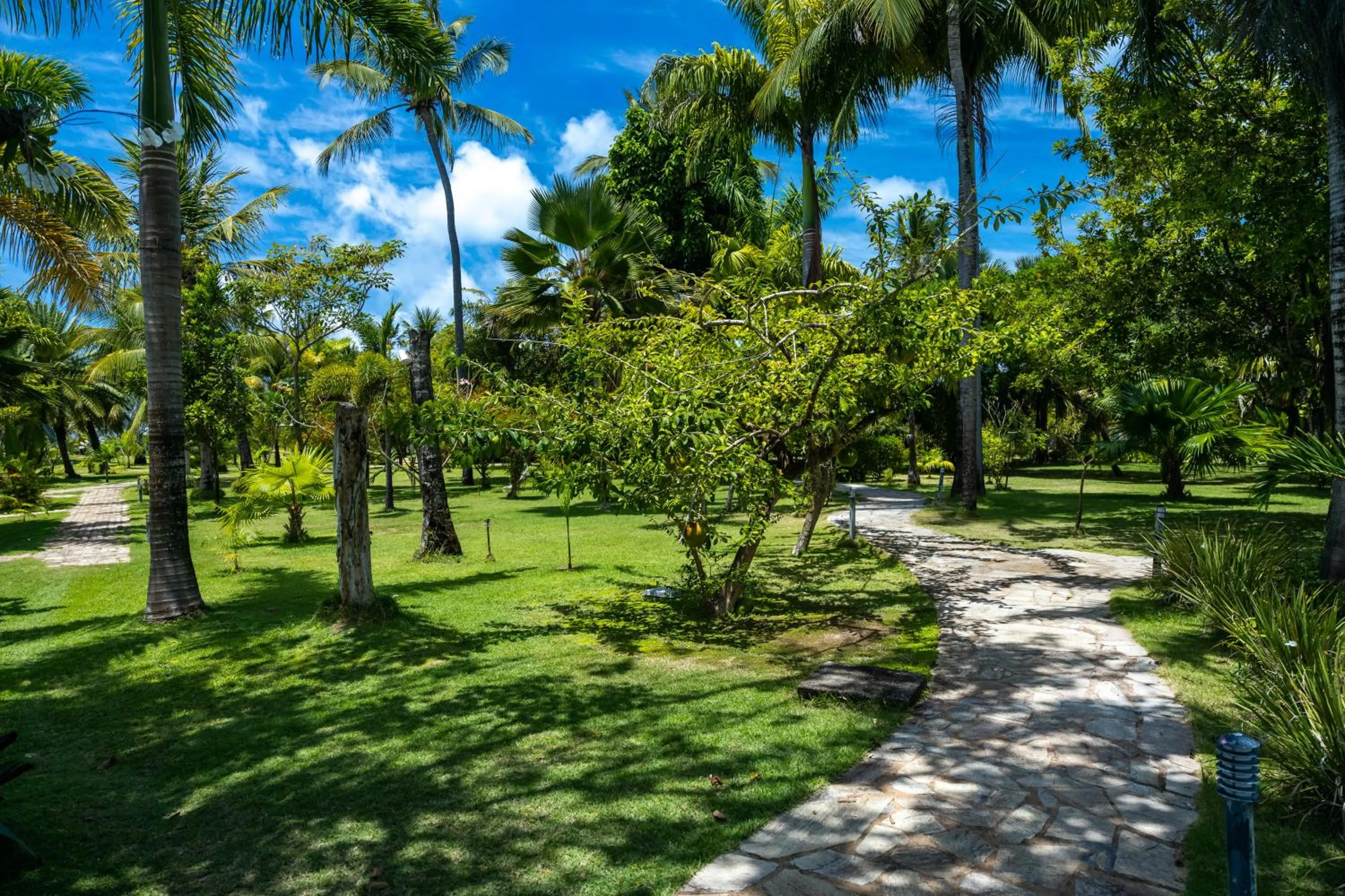 Garden in Pousada Aldeia Beijupirá