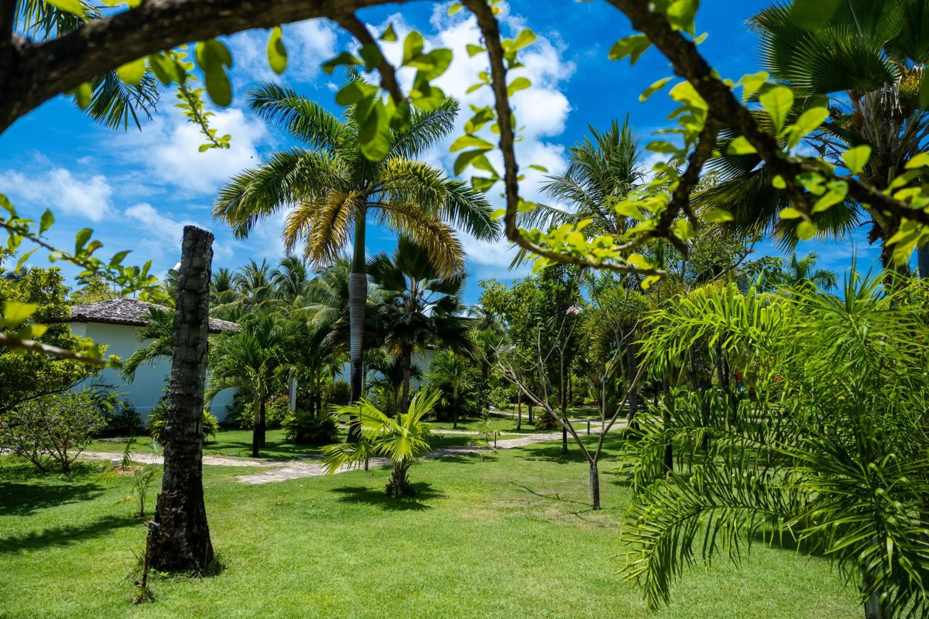 Garden in Pousada Aldeia Beijupirá