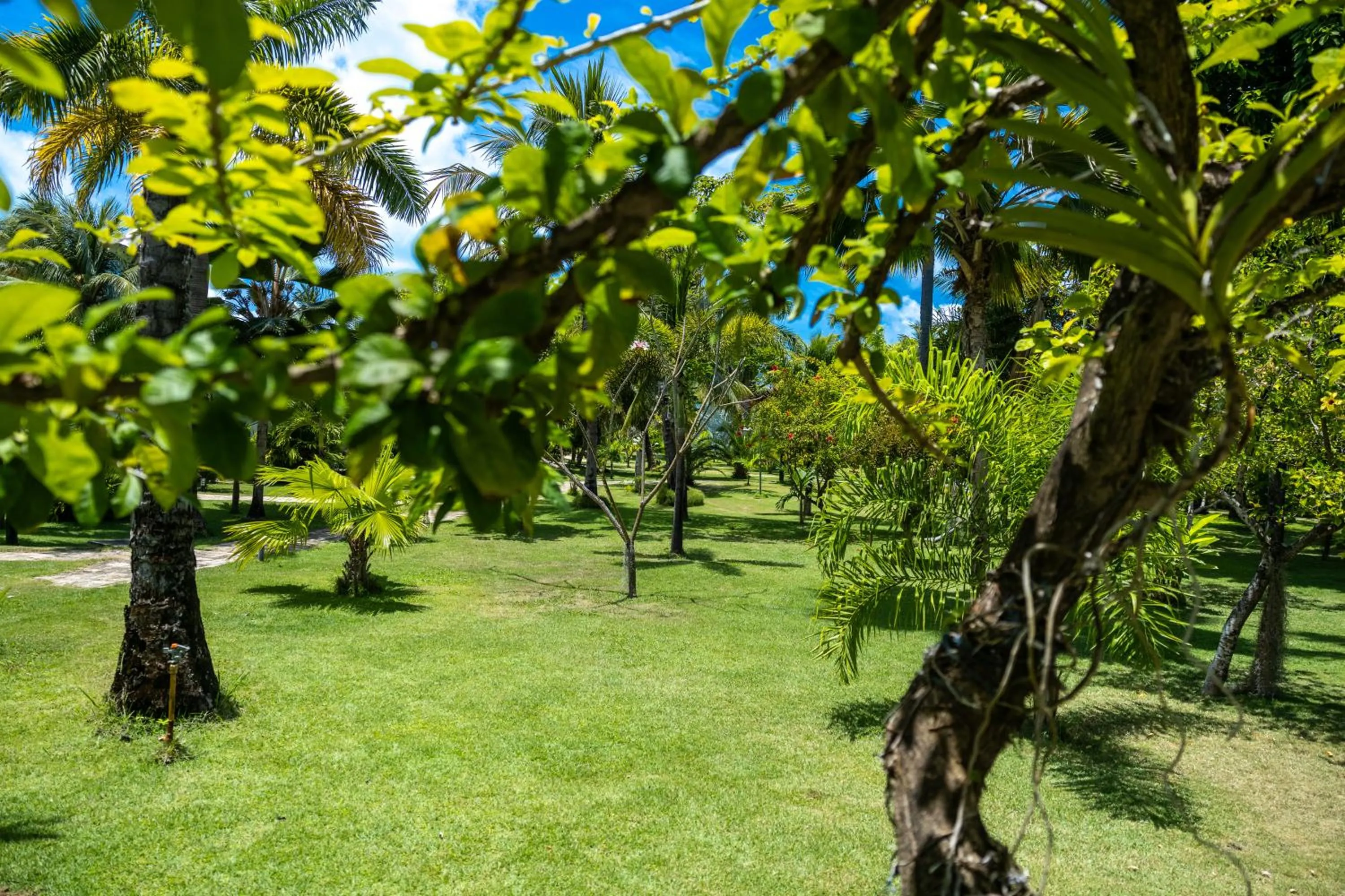 Garden in Pousada Aldeia Beijupirá