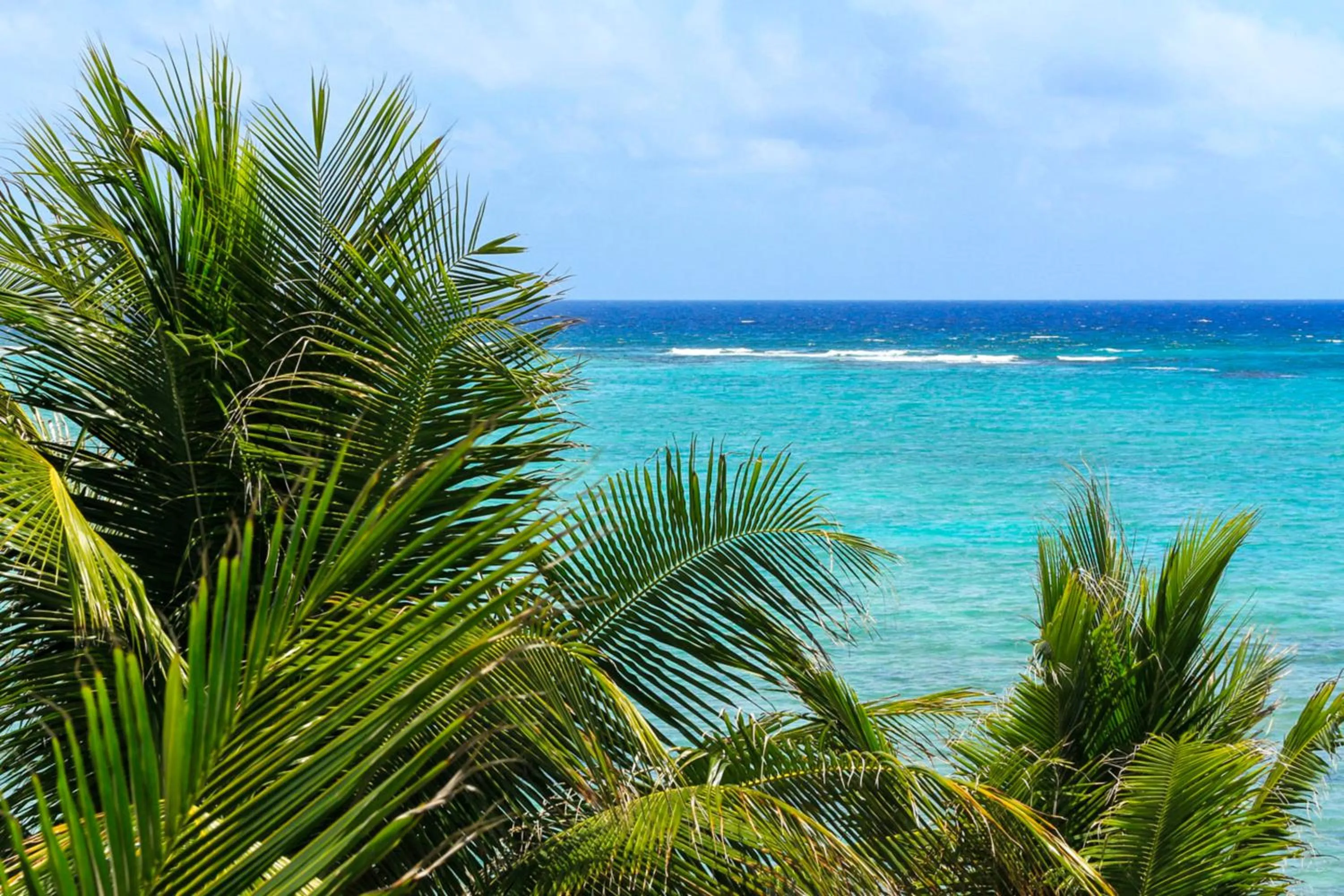 Bird's eye view in Cielo Maya Beach Tulum