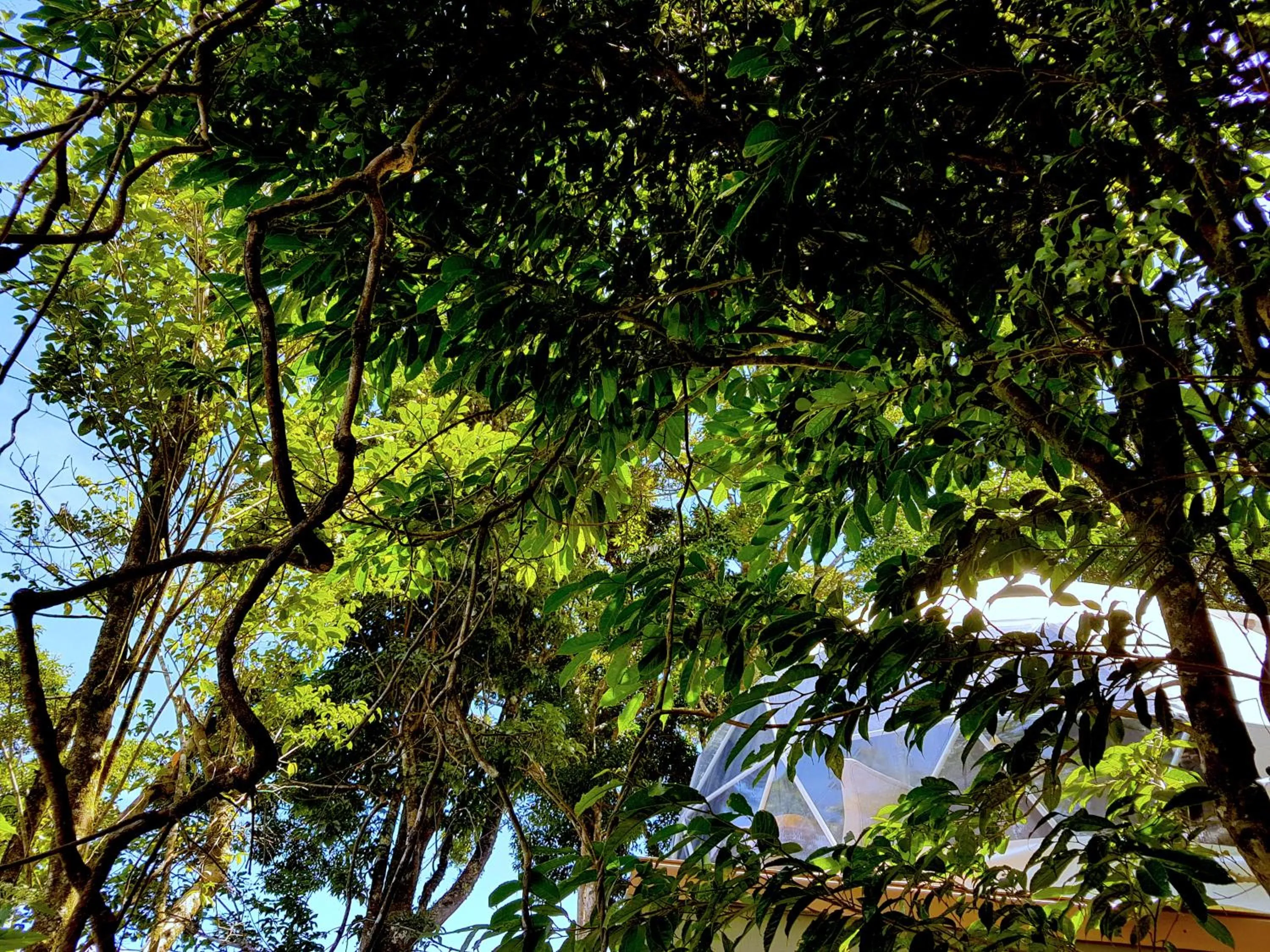 Chira Glamping Resort Monteverde