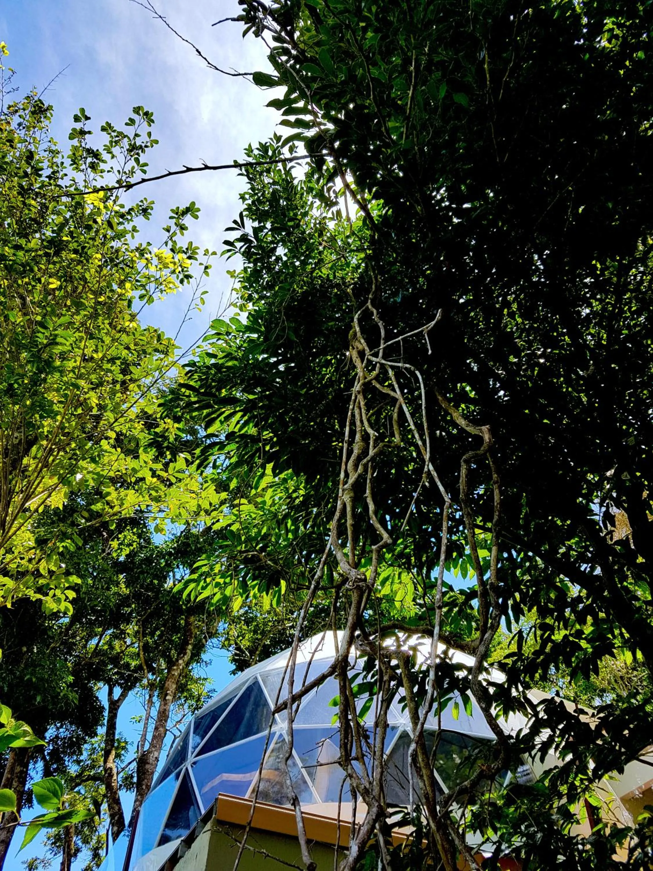 Chira Glamping Resort Monteverde