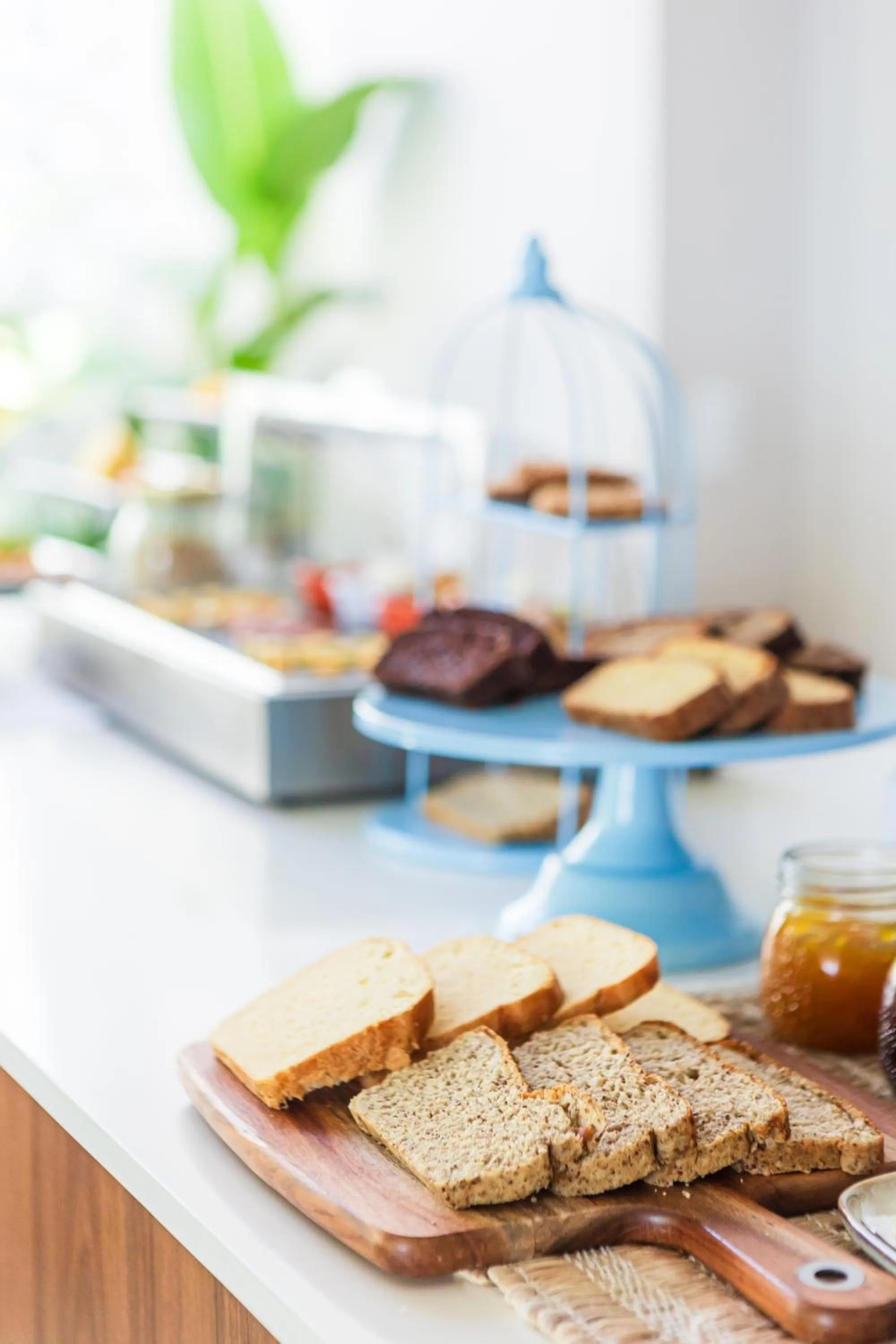 Chira Glamping Resort Monteverde