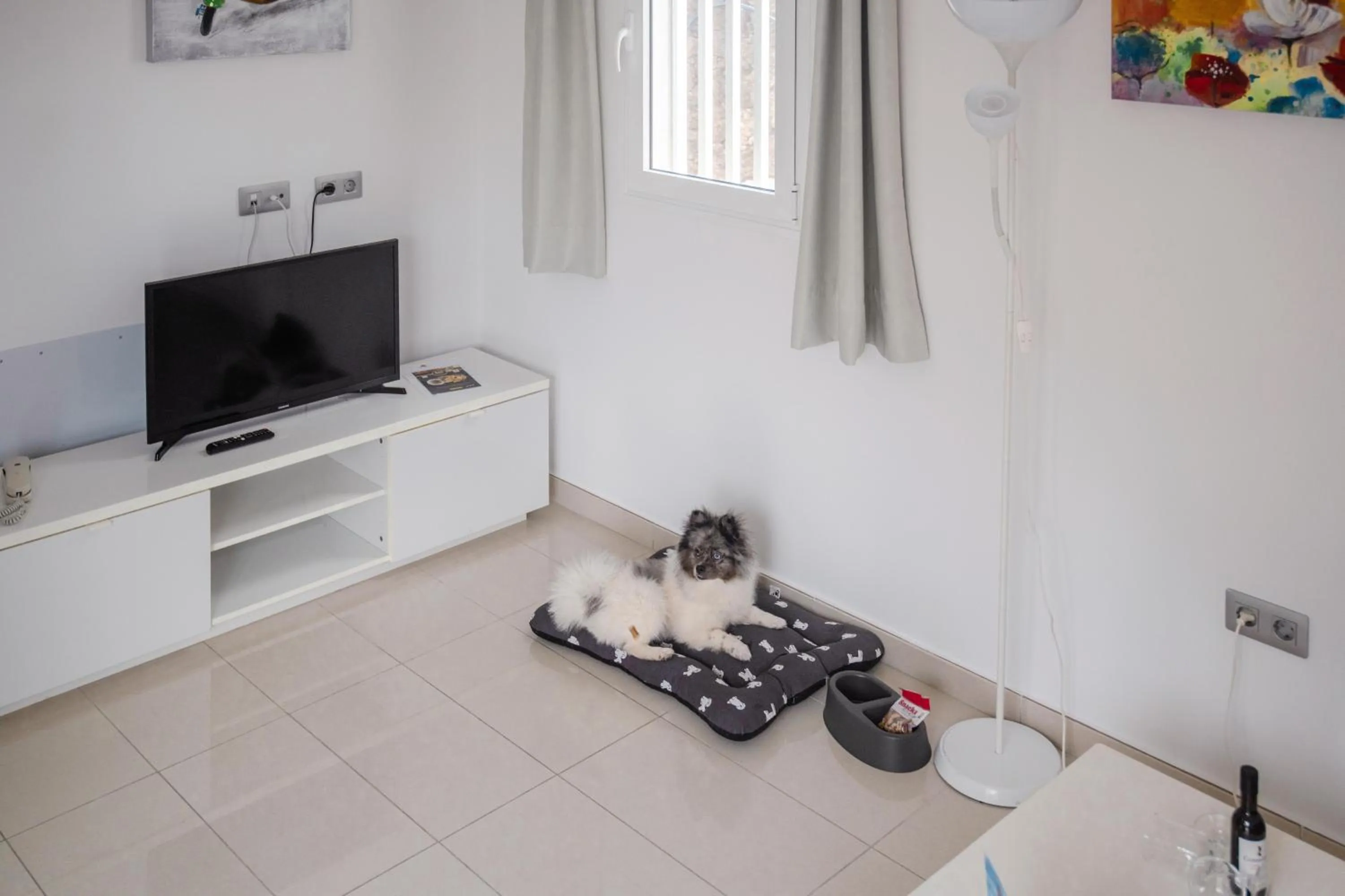 Pets in Bahia Calma Beach