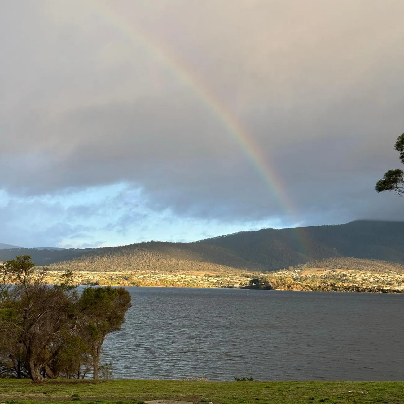 Day in Otago Cottage