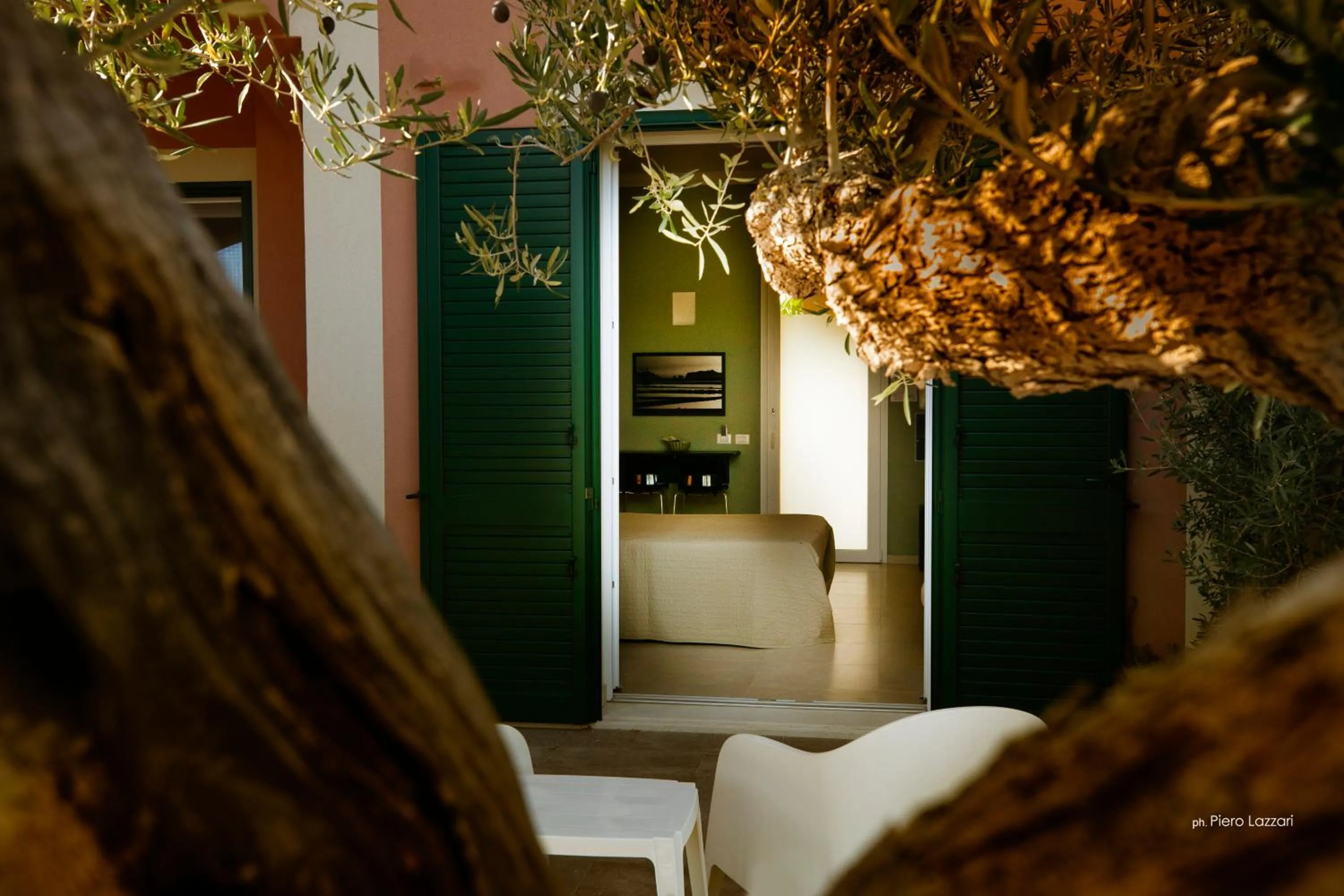 Photo of the whole room in Corte Olea Resort