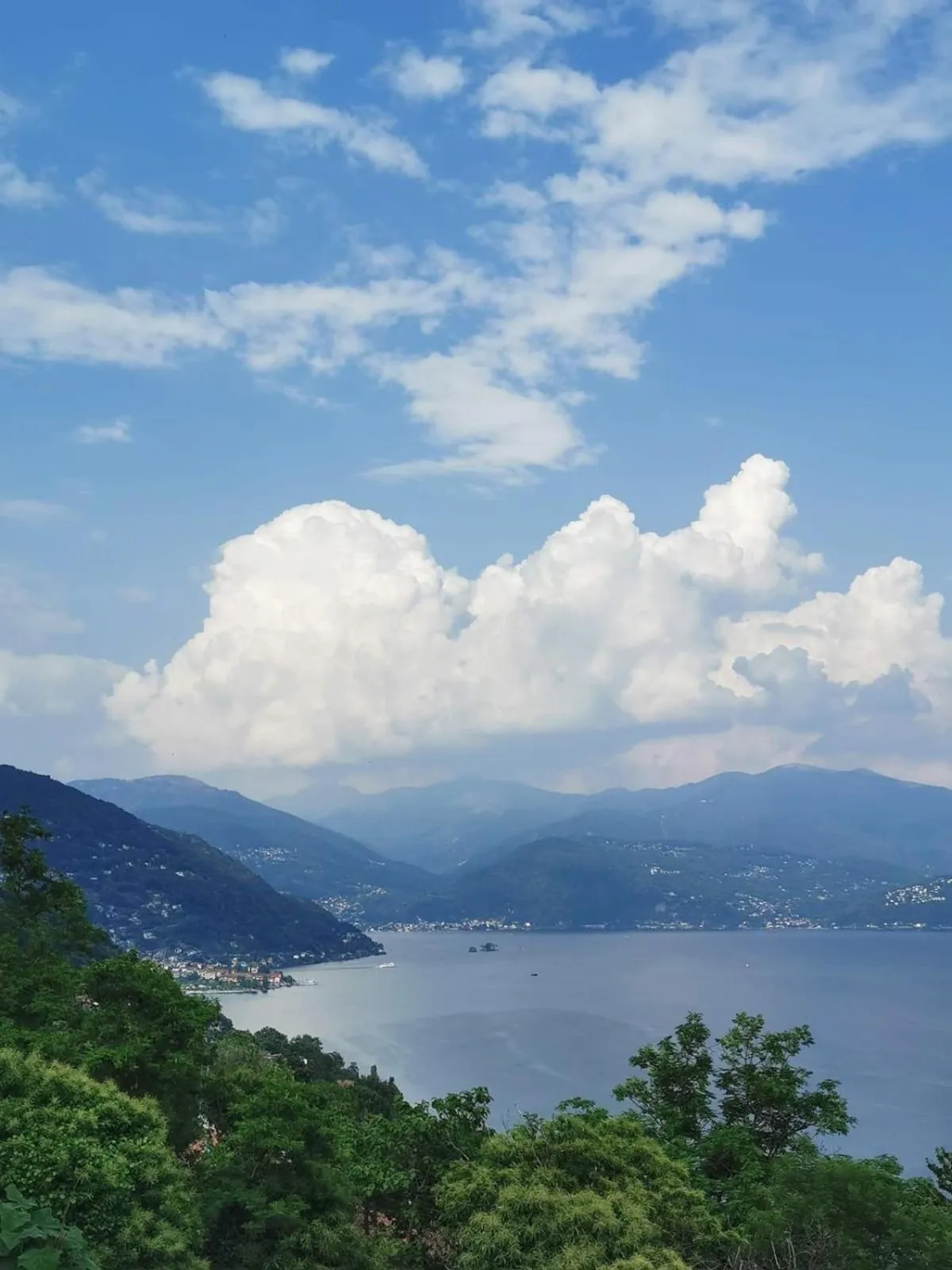 Residence Il Vigneto