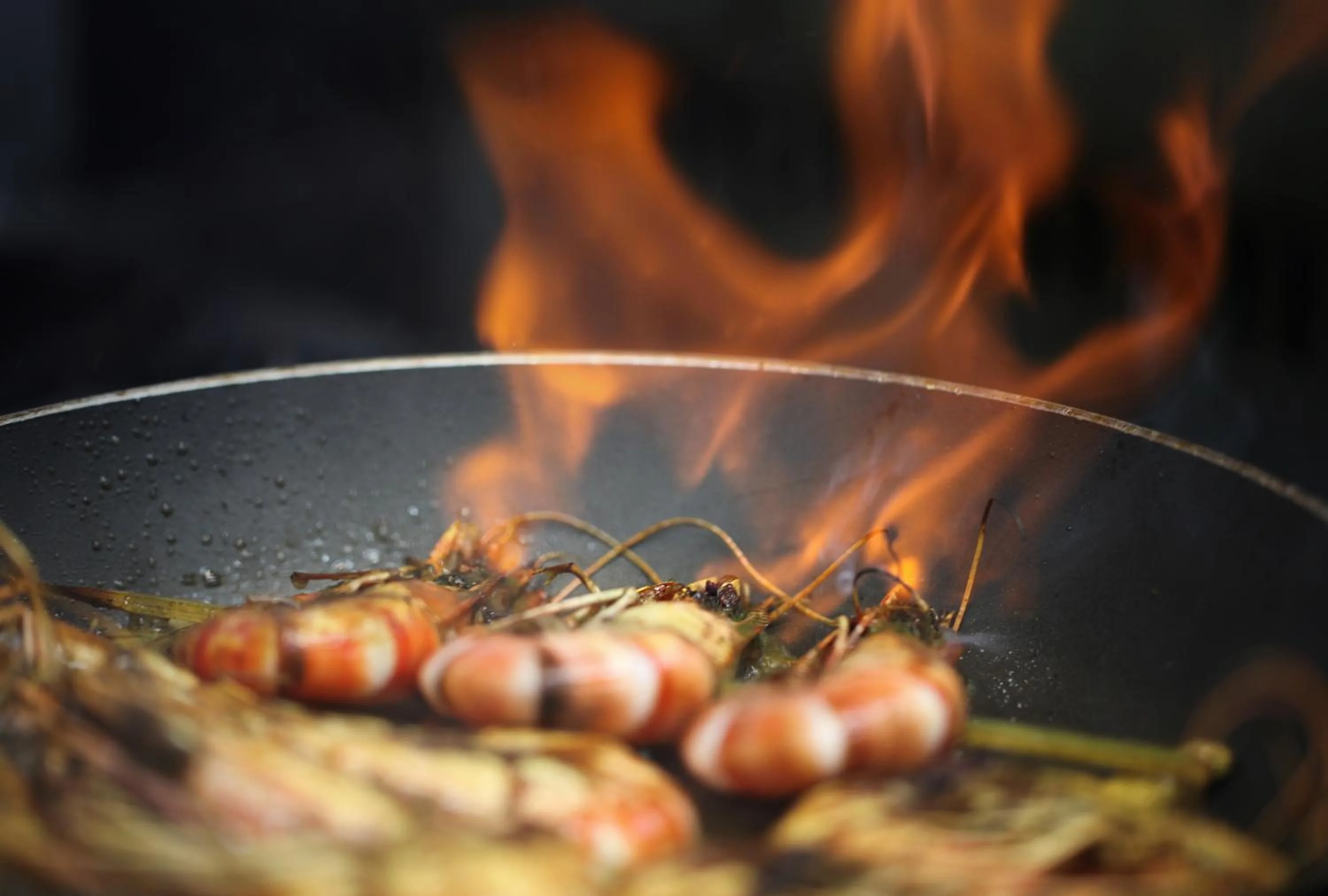 Food close-up in Dormir sur la Plage