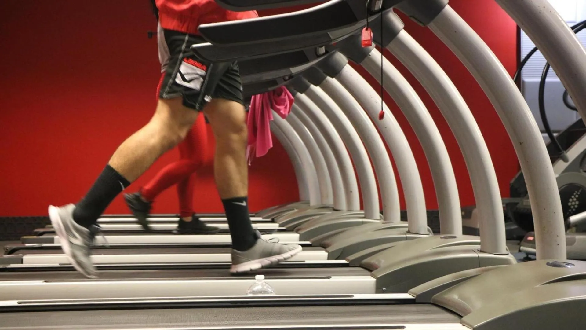 Activities in Evenia Olympic Palace