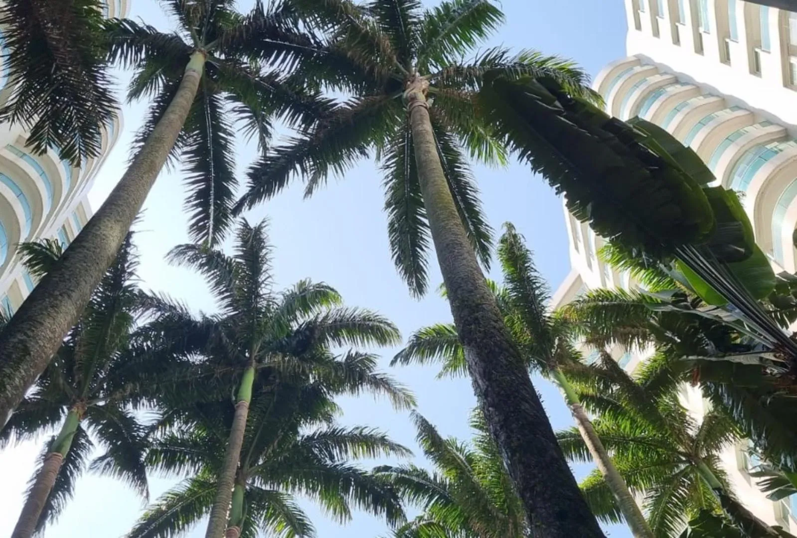 Day in Wyndham Rio Barra