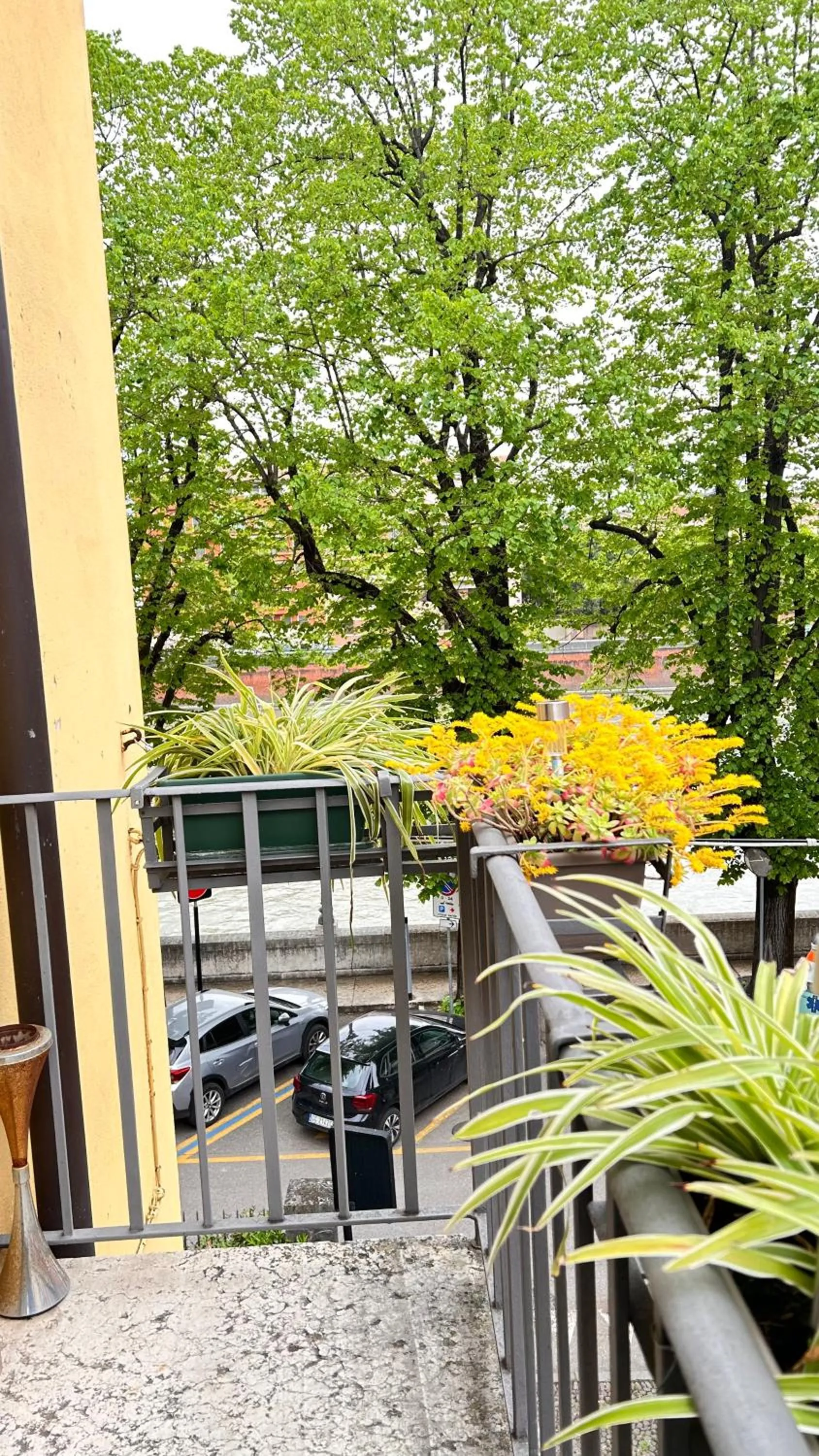 View (from property/room) in Notti sull'Adige