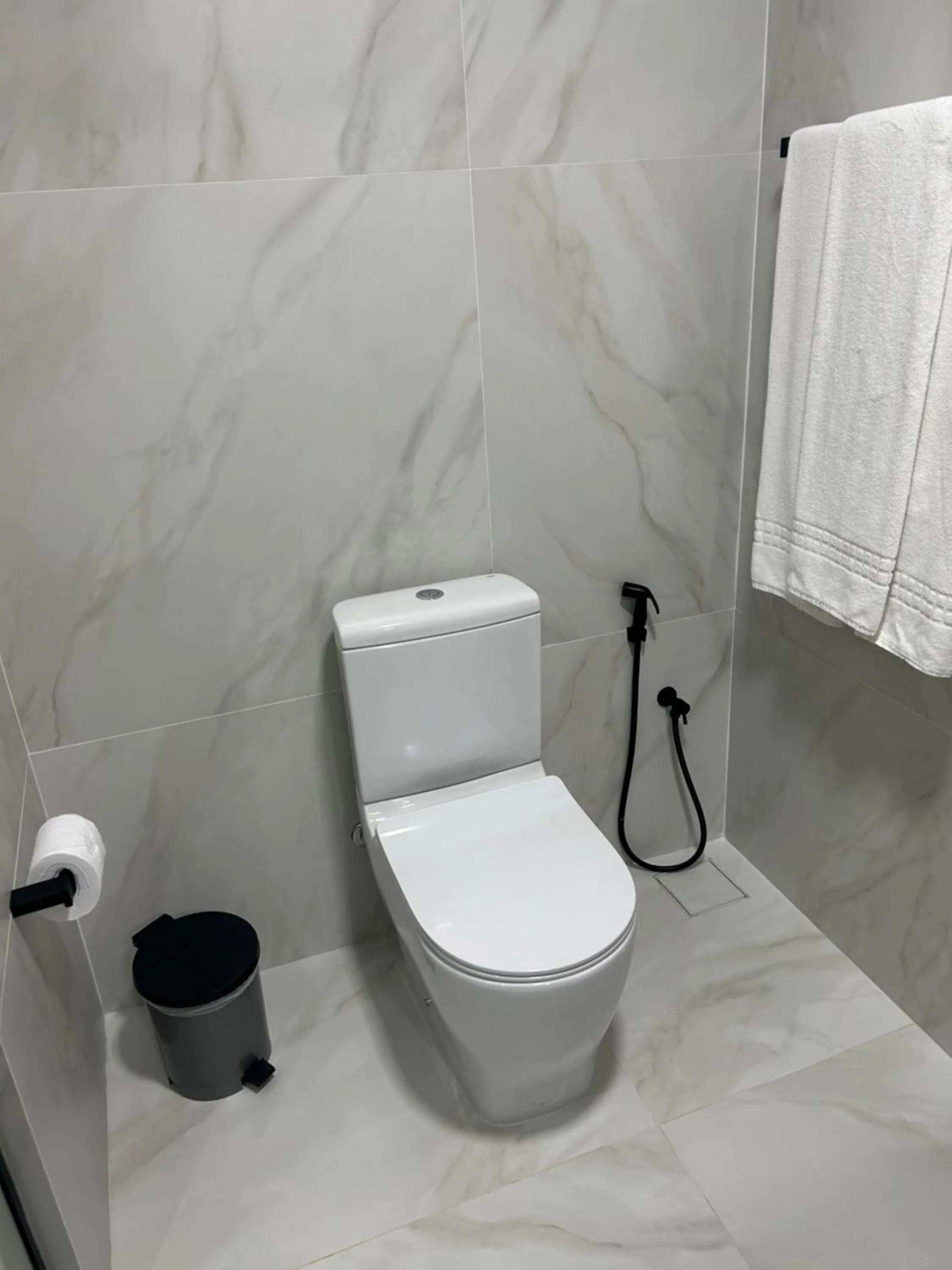 Toilet in Américas Benidorm Hotel