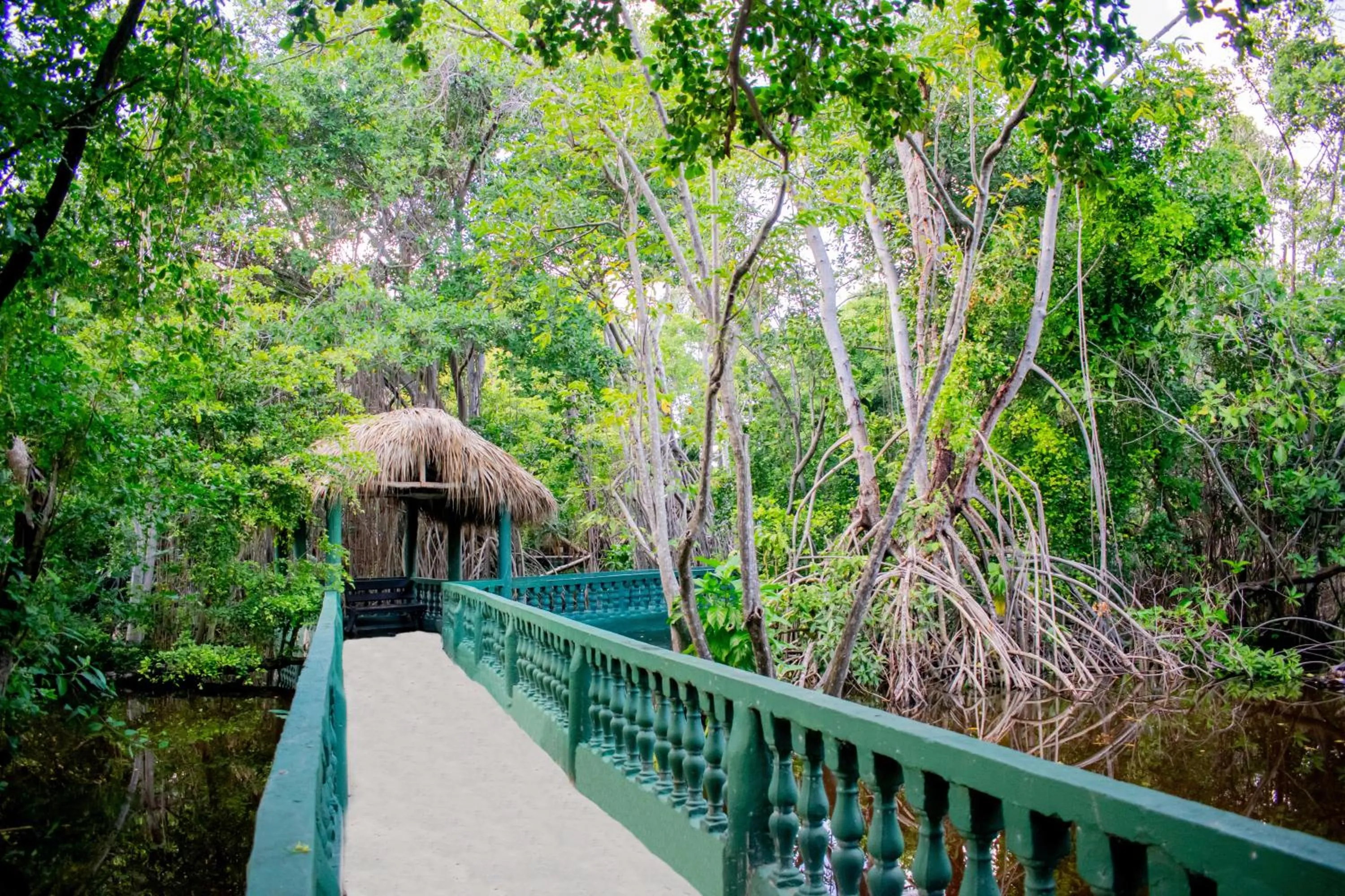Garden in Grand Bavaro Princess - All Inclusive