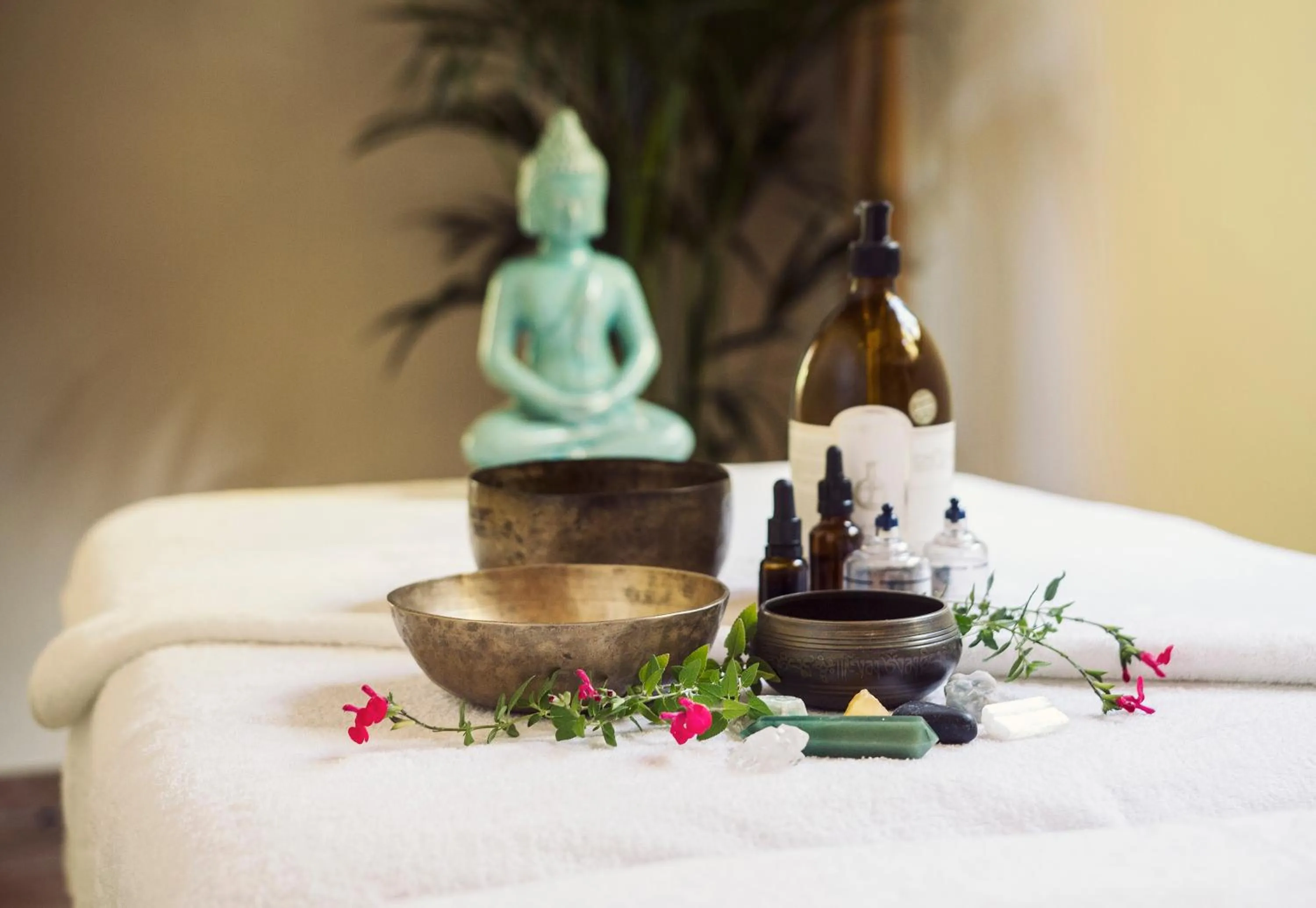 Activities in MasQi, The Energy House