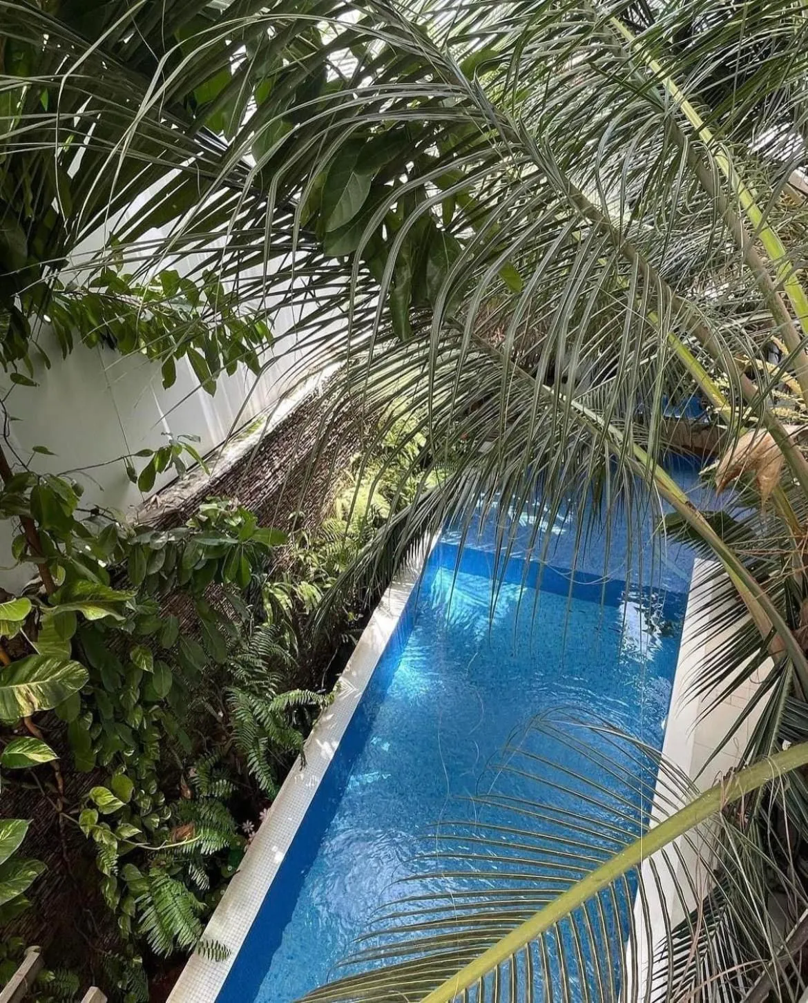 Garden view in Ecologe