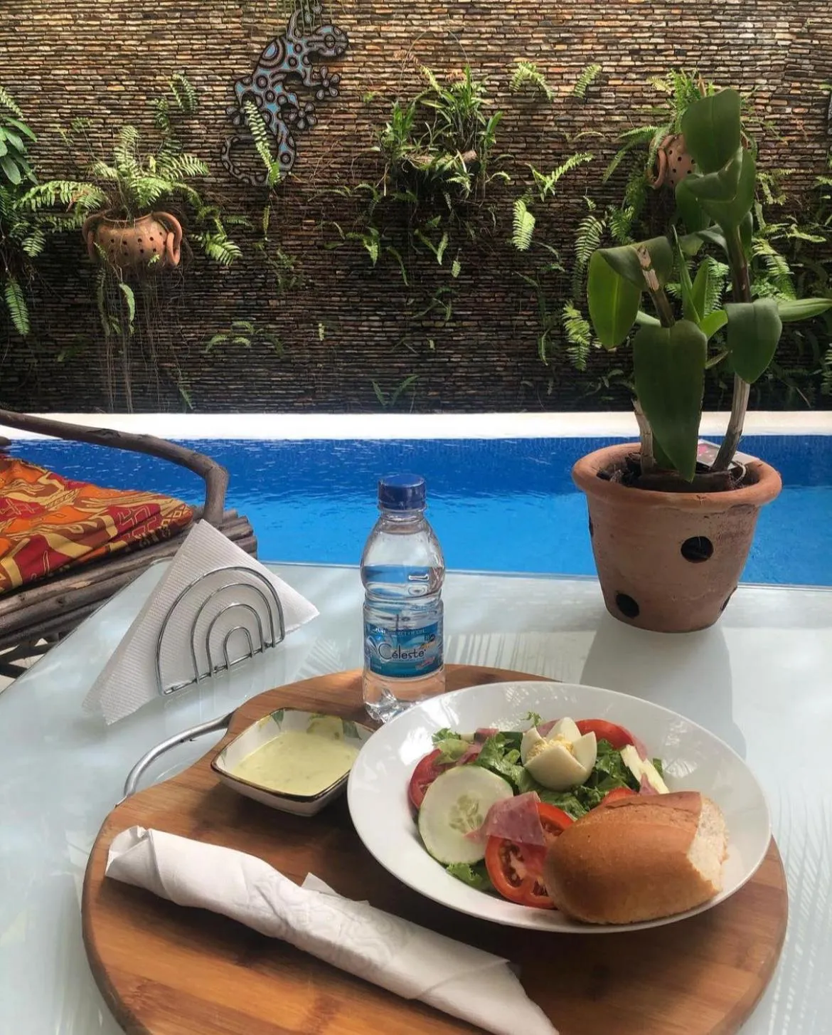 Food and drinks in Ecologe