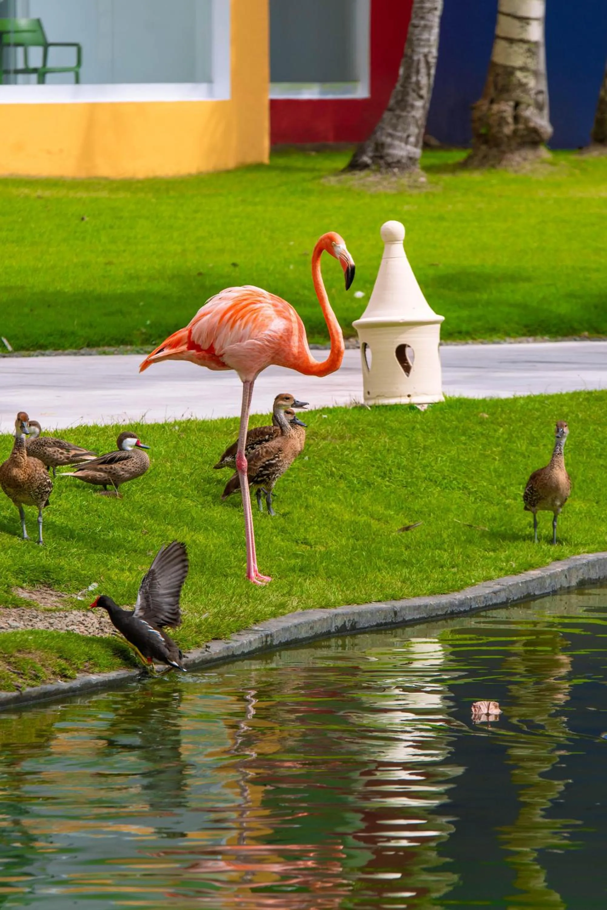 Garden in Caribe Deluxe Princess - All Inclusive