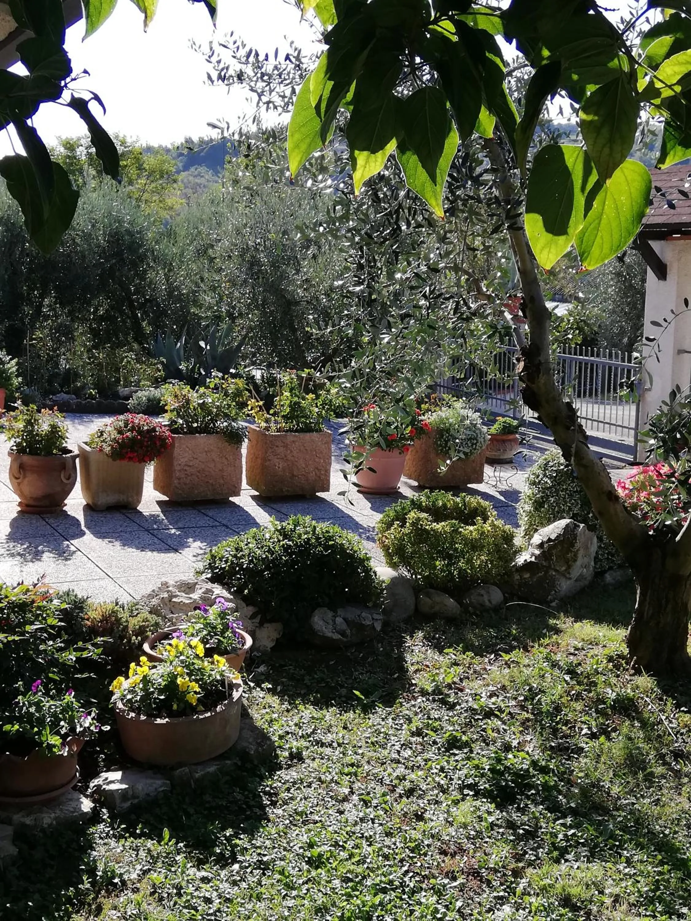 Garden in B&B RIPALTA