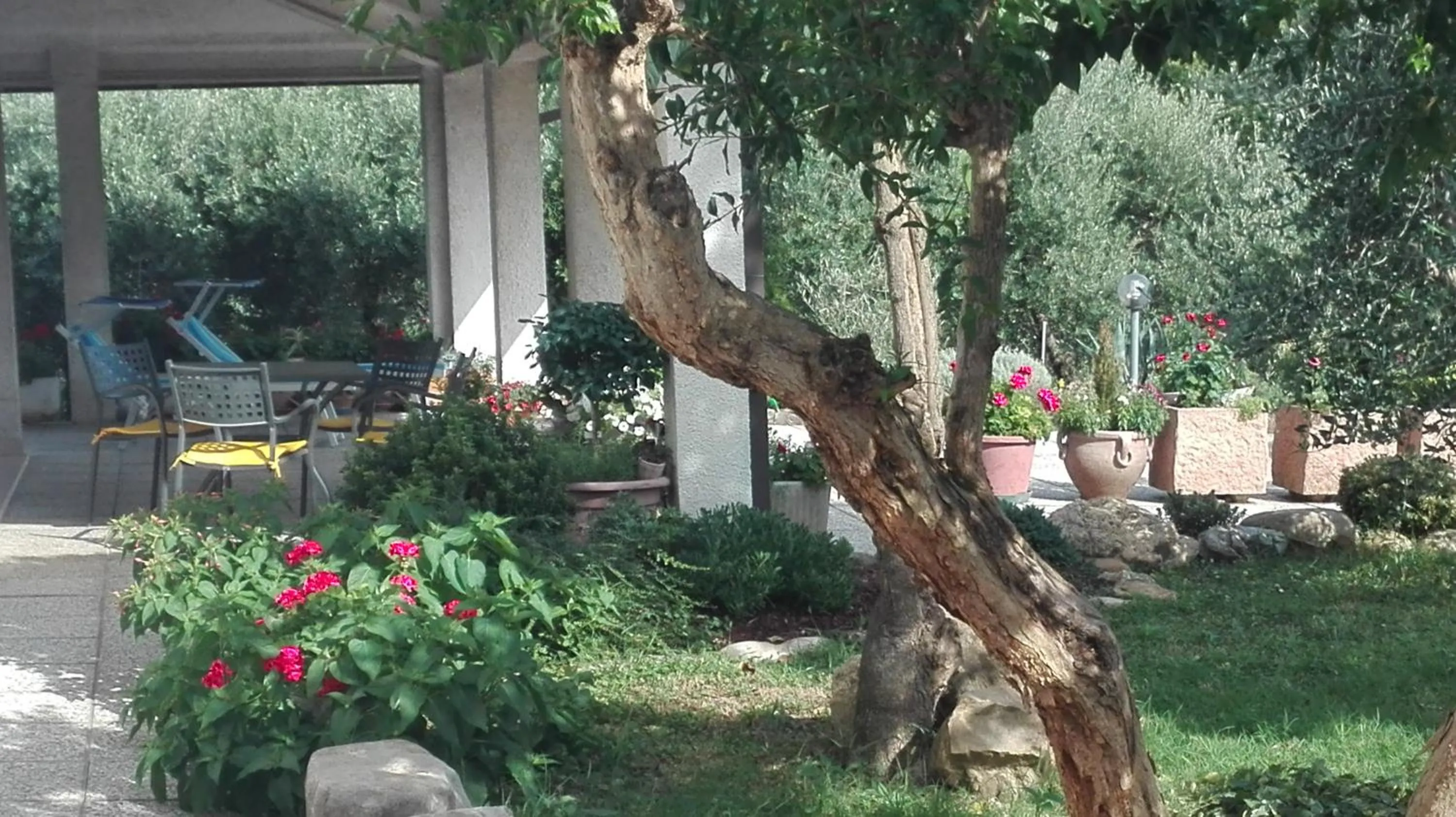 Garden in B&B RIPALTA