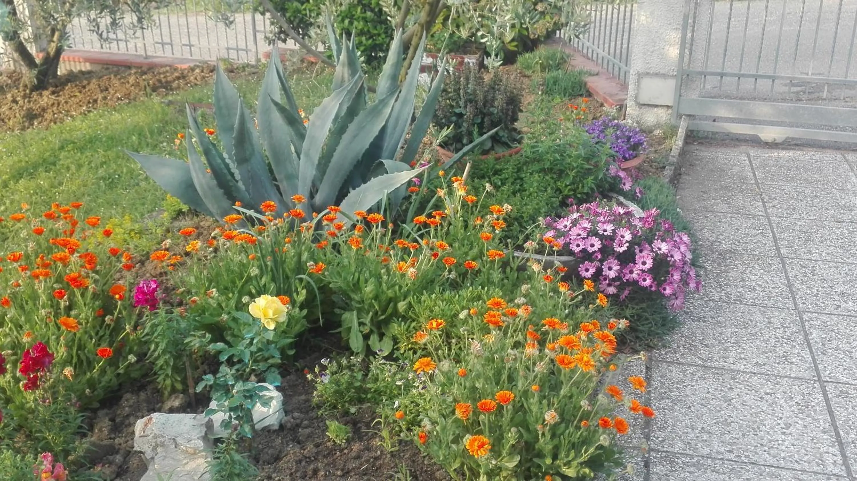 Garden view in B&B RIPALTA