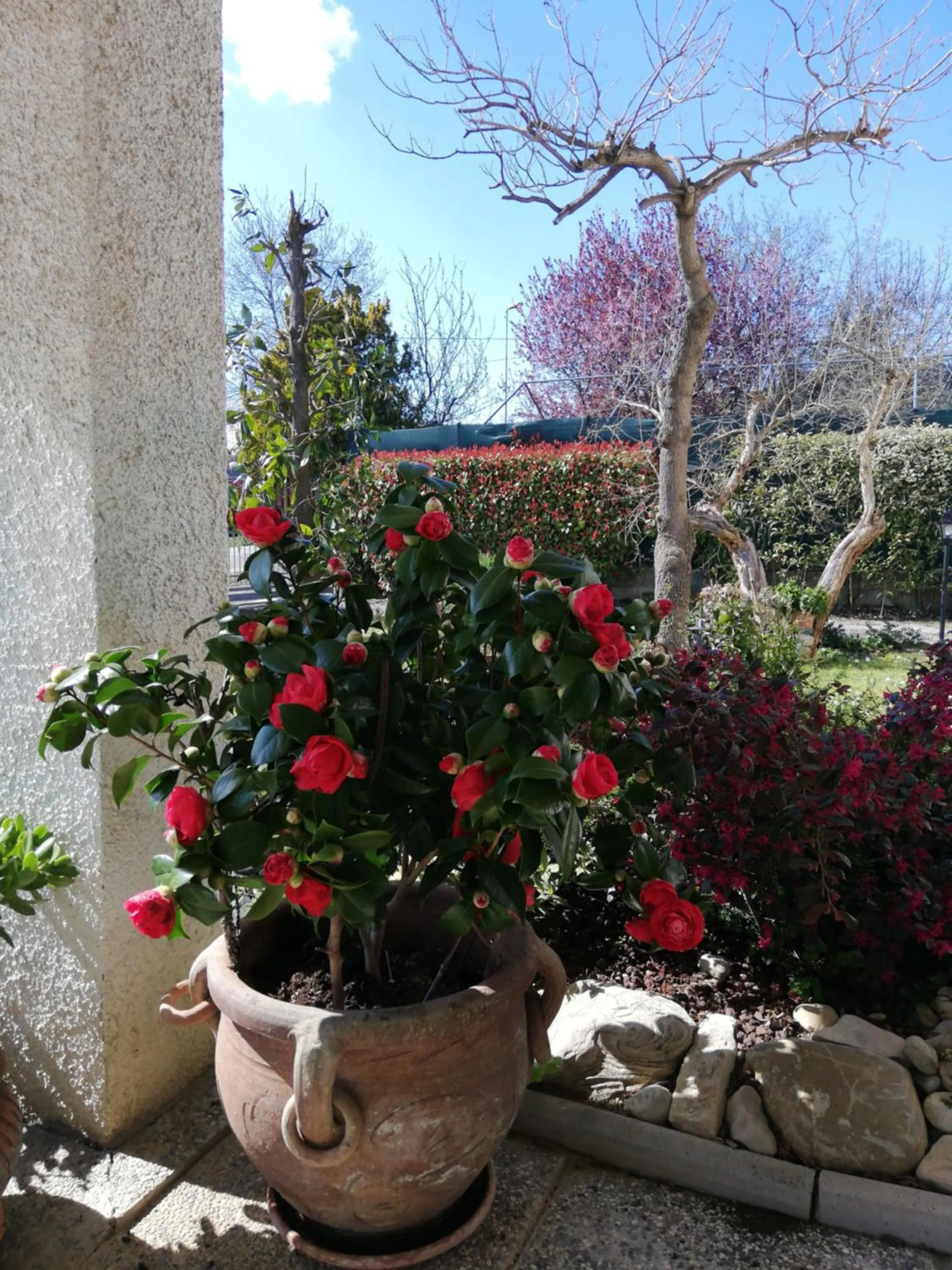 Garden view in B&B RIPALTA