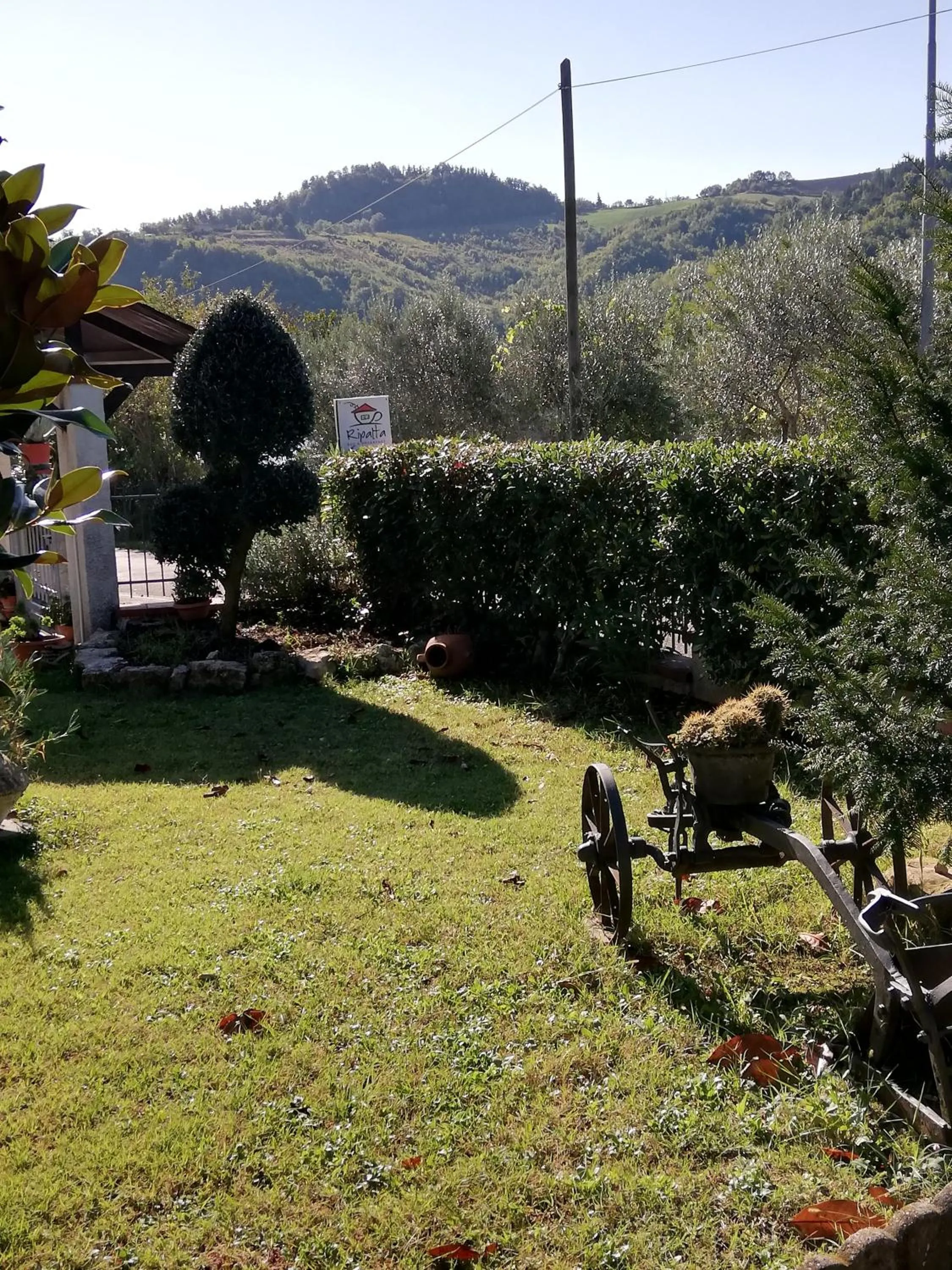 Garden in B&B RIPALTA